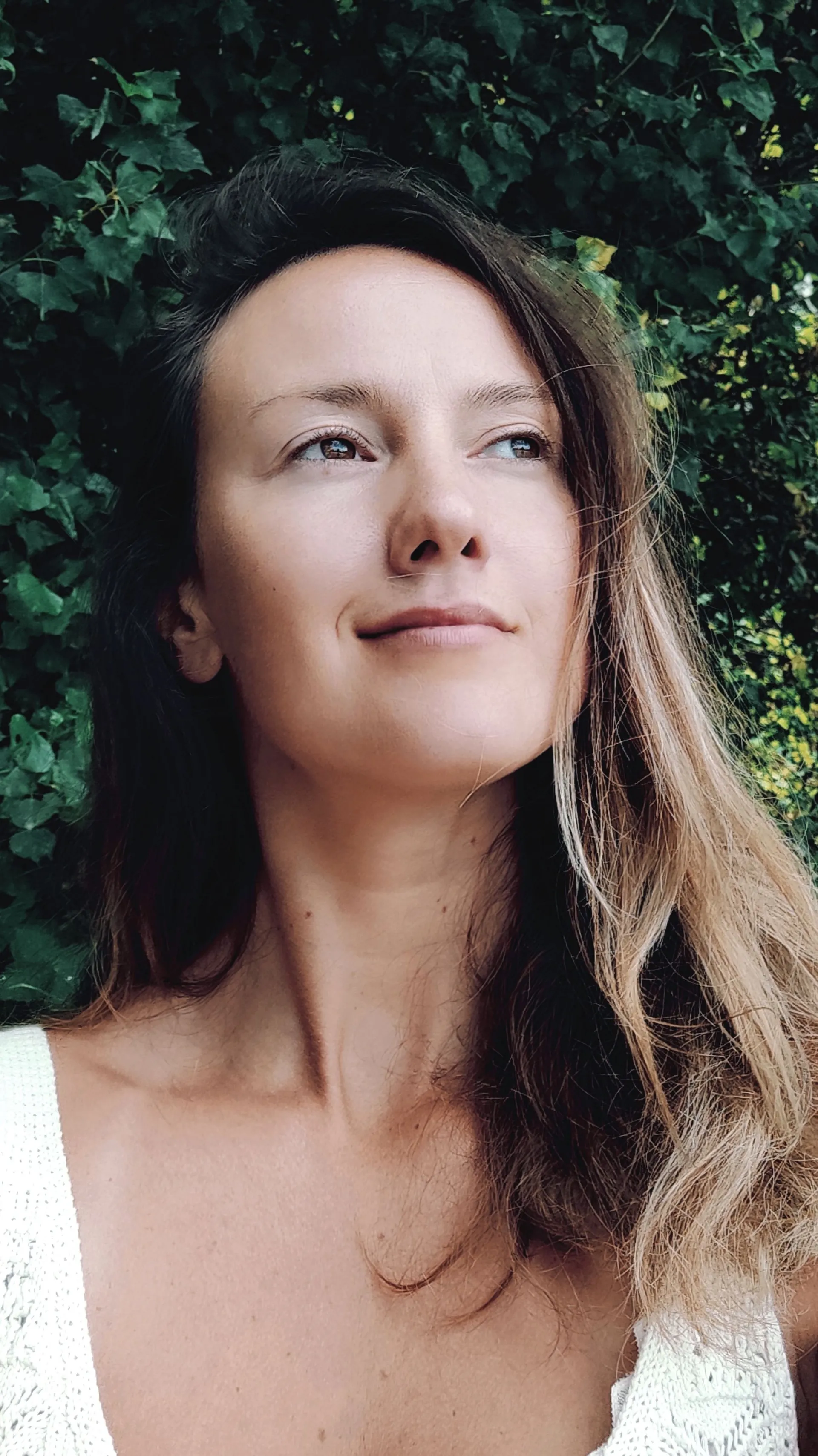 Portrait of the author