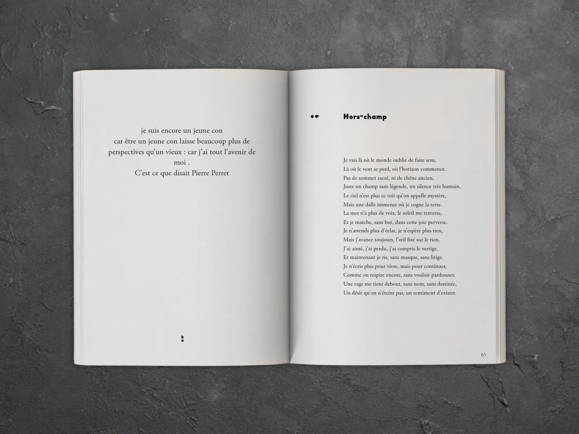 Cover of the book