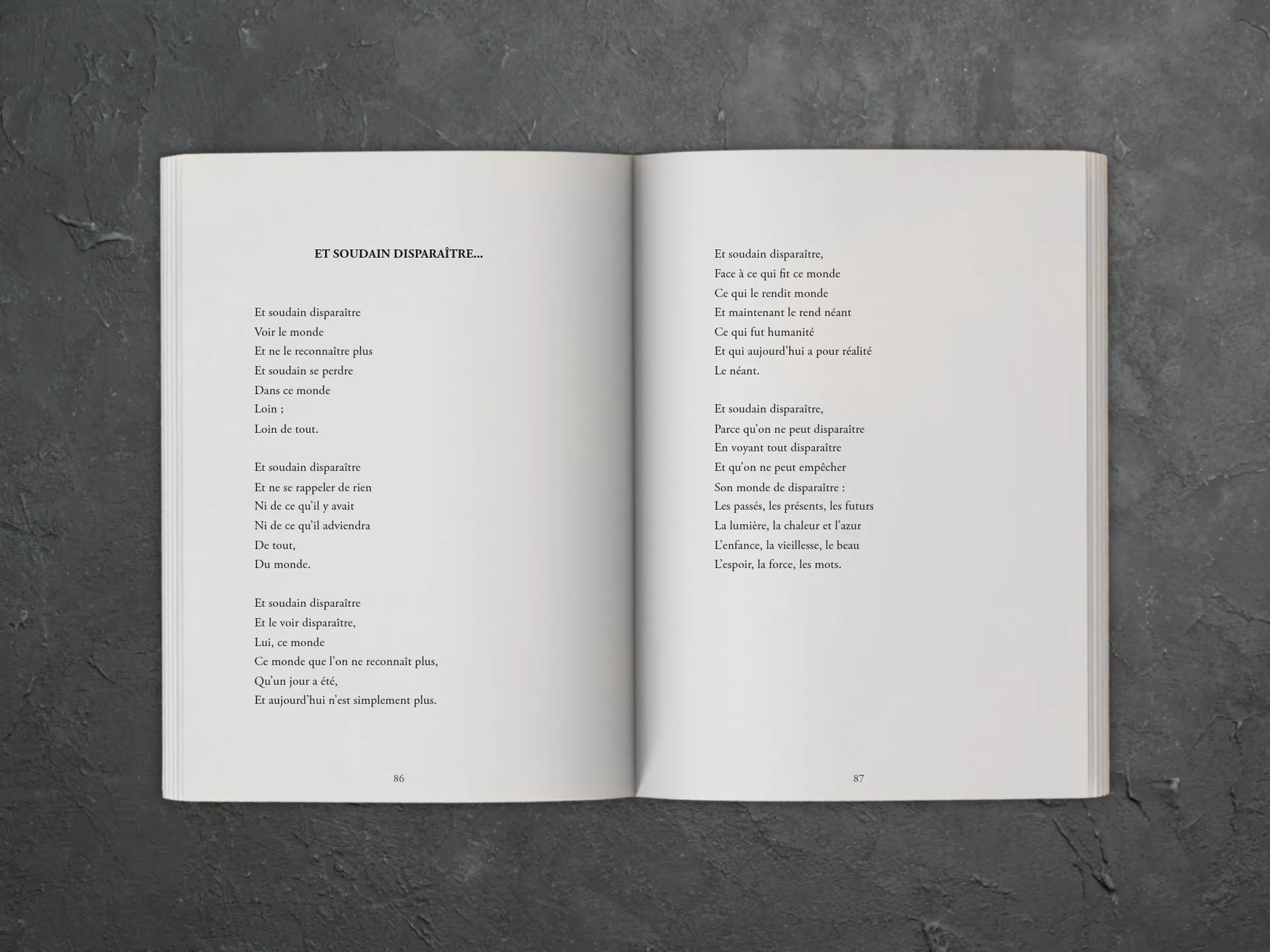 Cover of the book