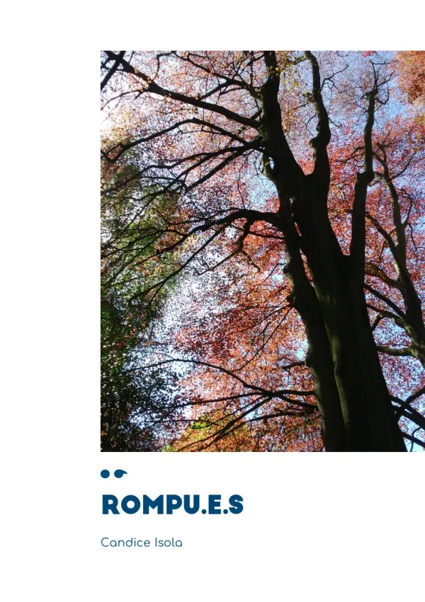Cover of Rompu.e.s