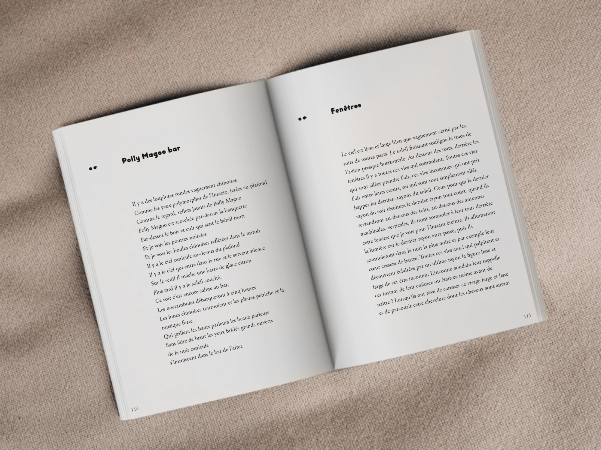 Cover of the book