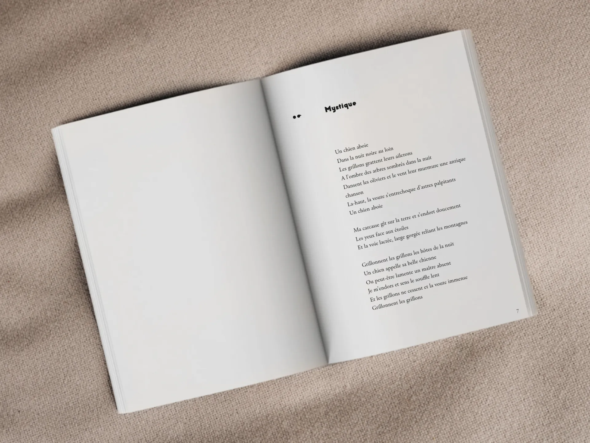 Cover of the book