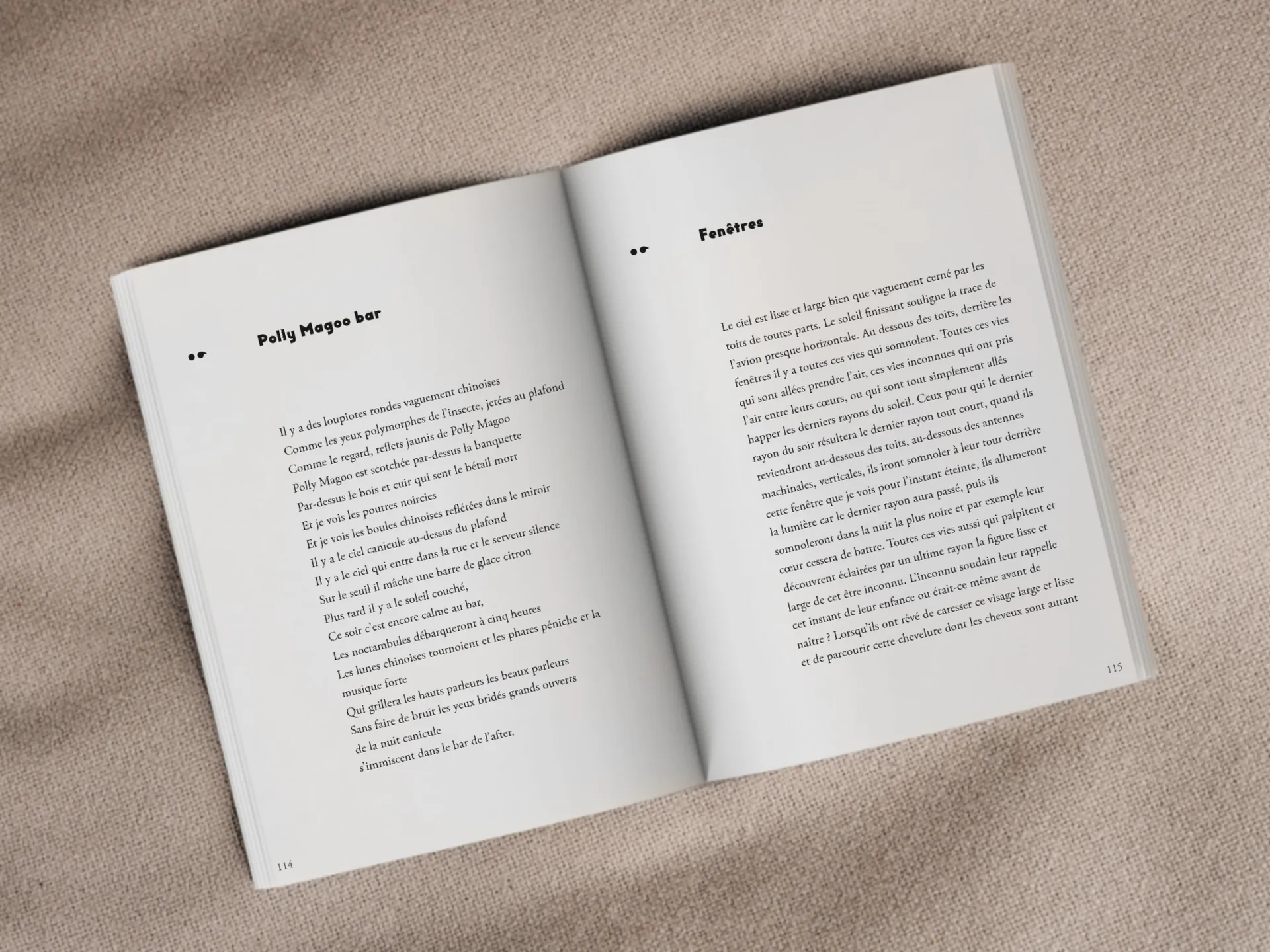 Cover of the book