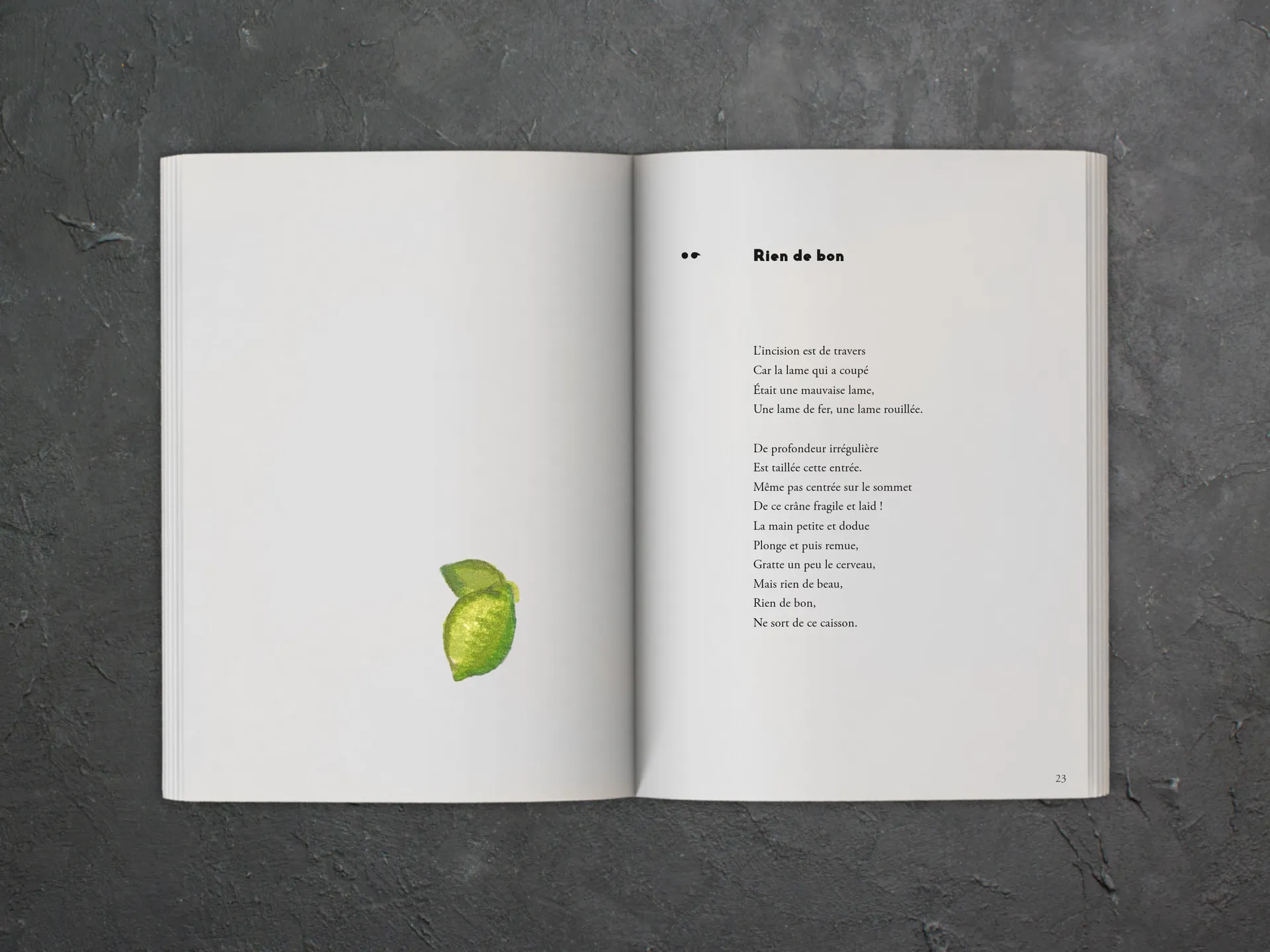Cover of the book