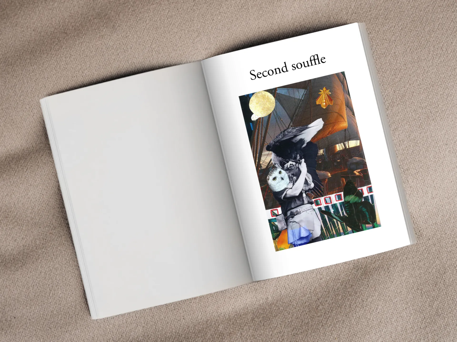 Cover of the book