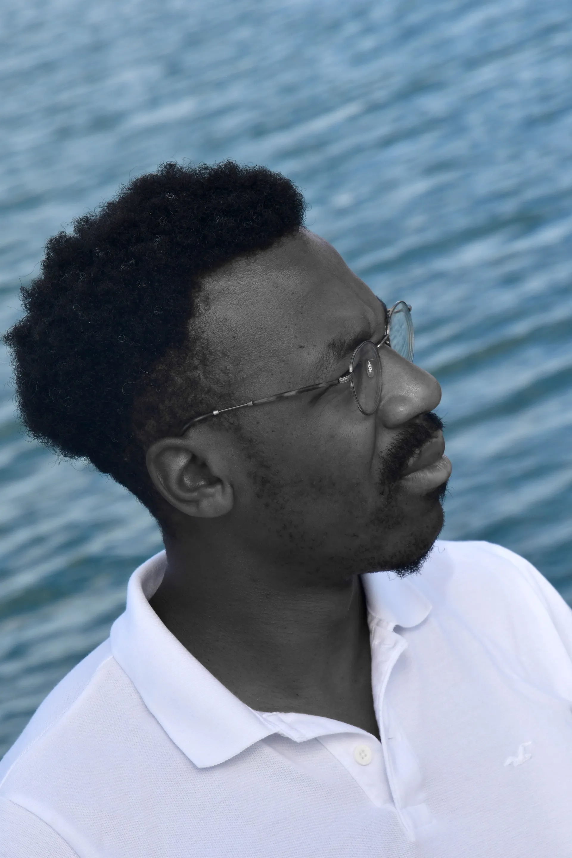 Portrait of the author