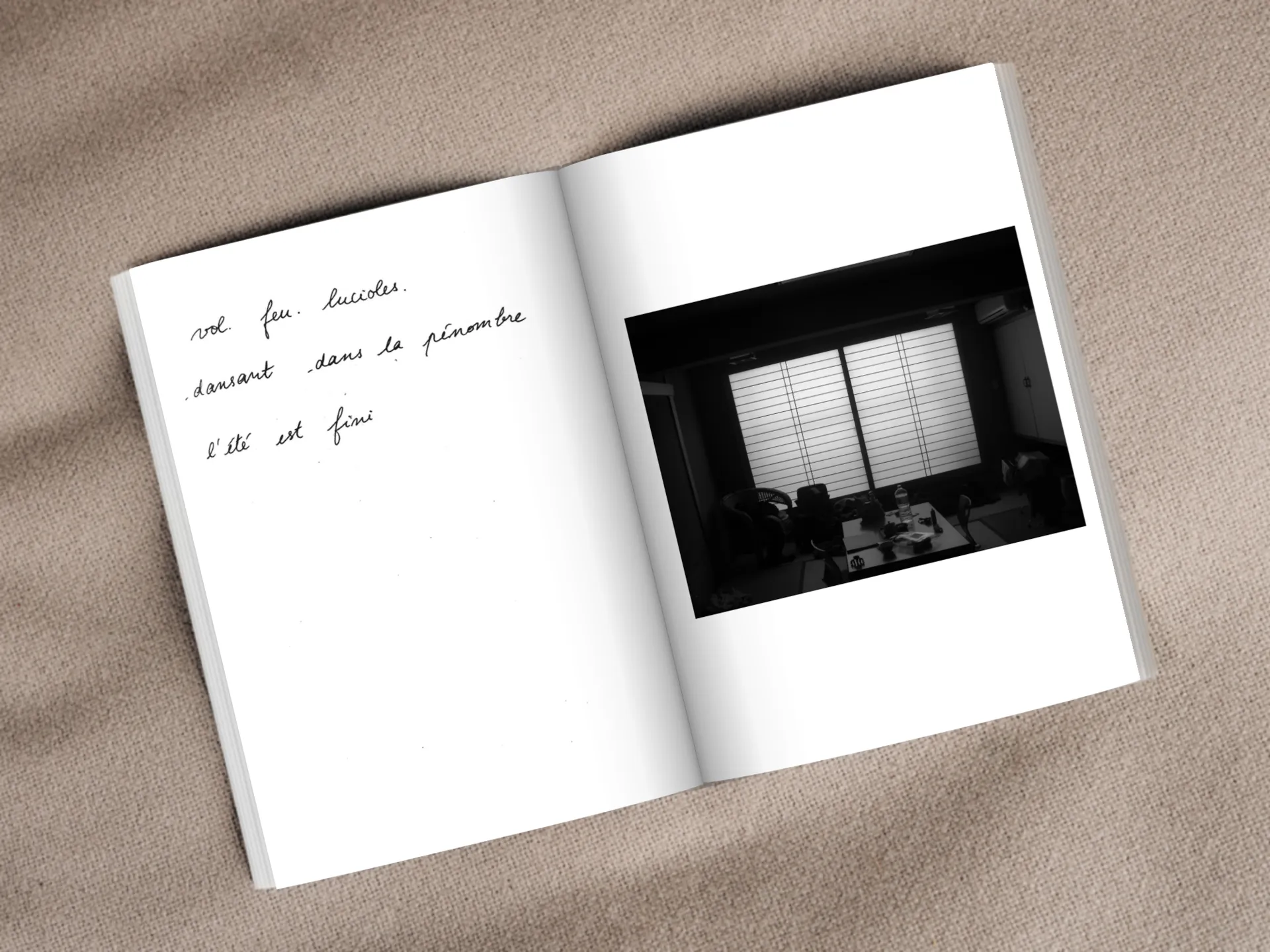 Cover of the book