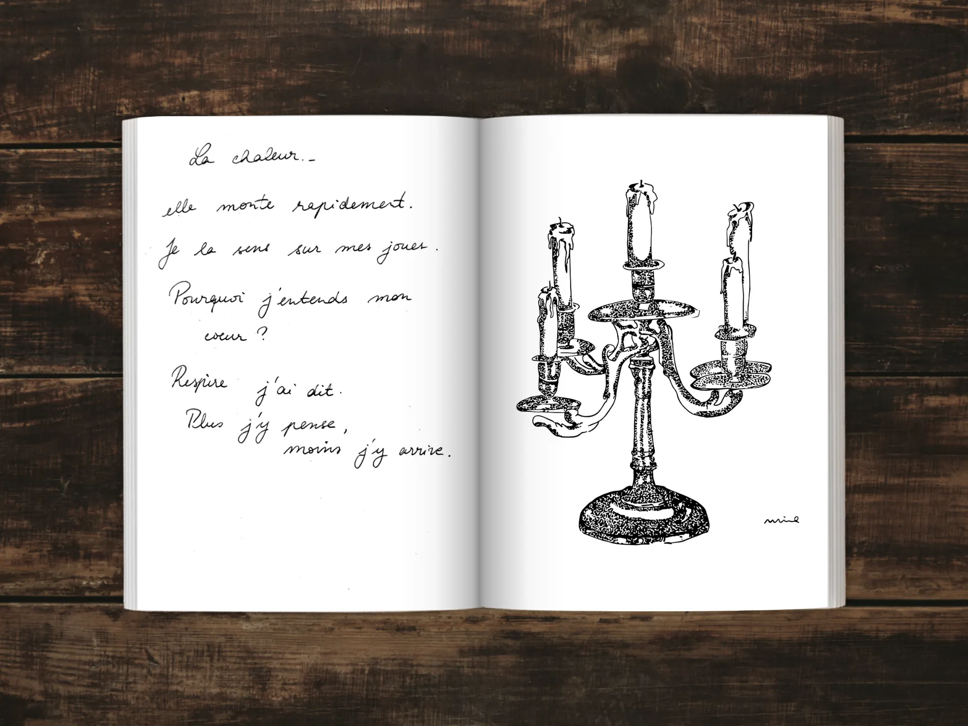Cover of the book