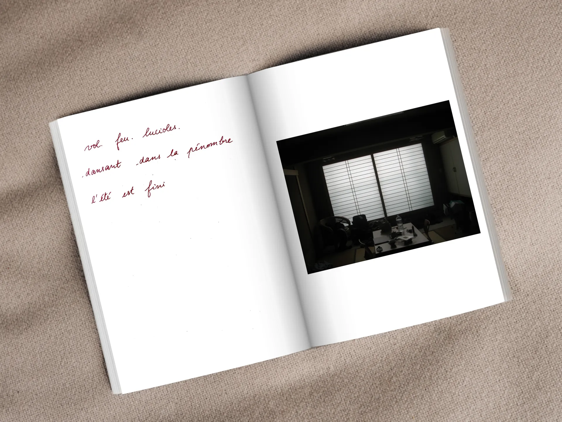 Cover of the book