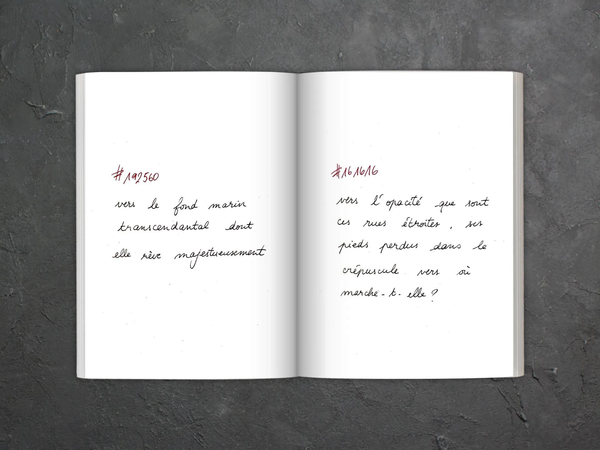 Cover of the book