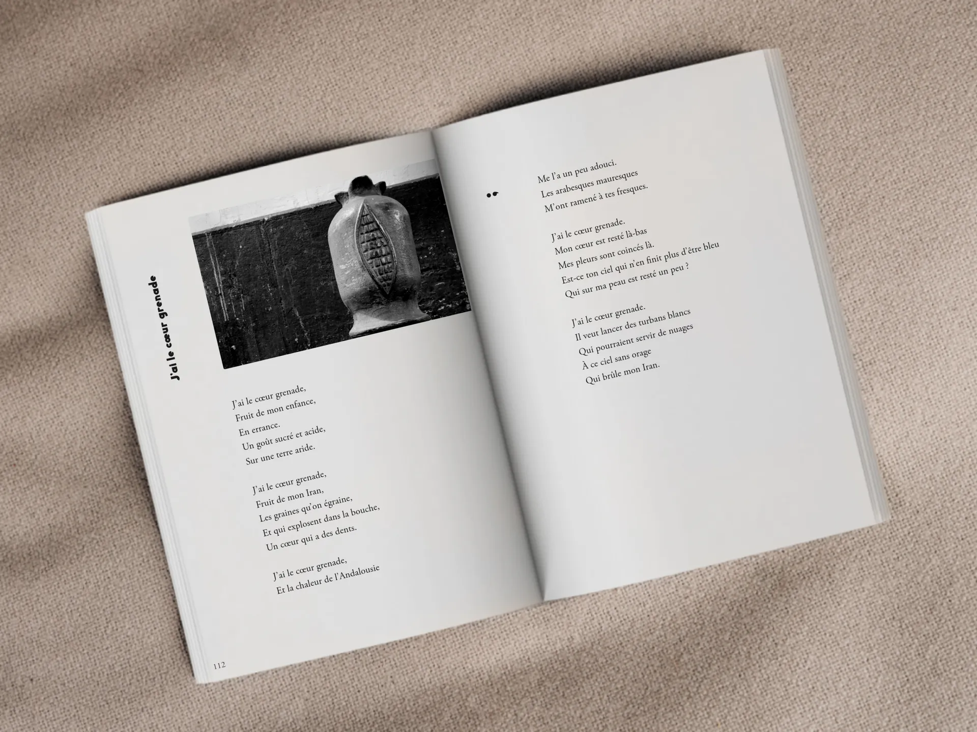 Cover of the book