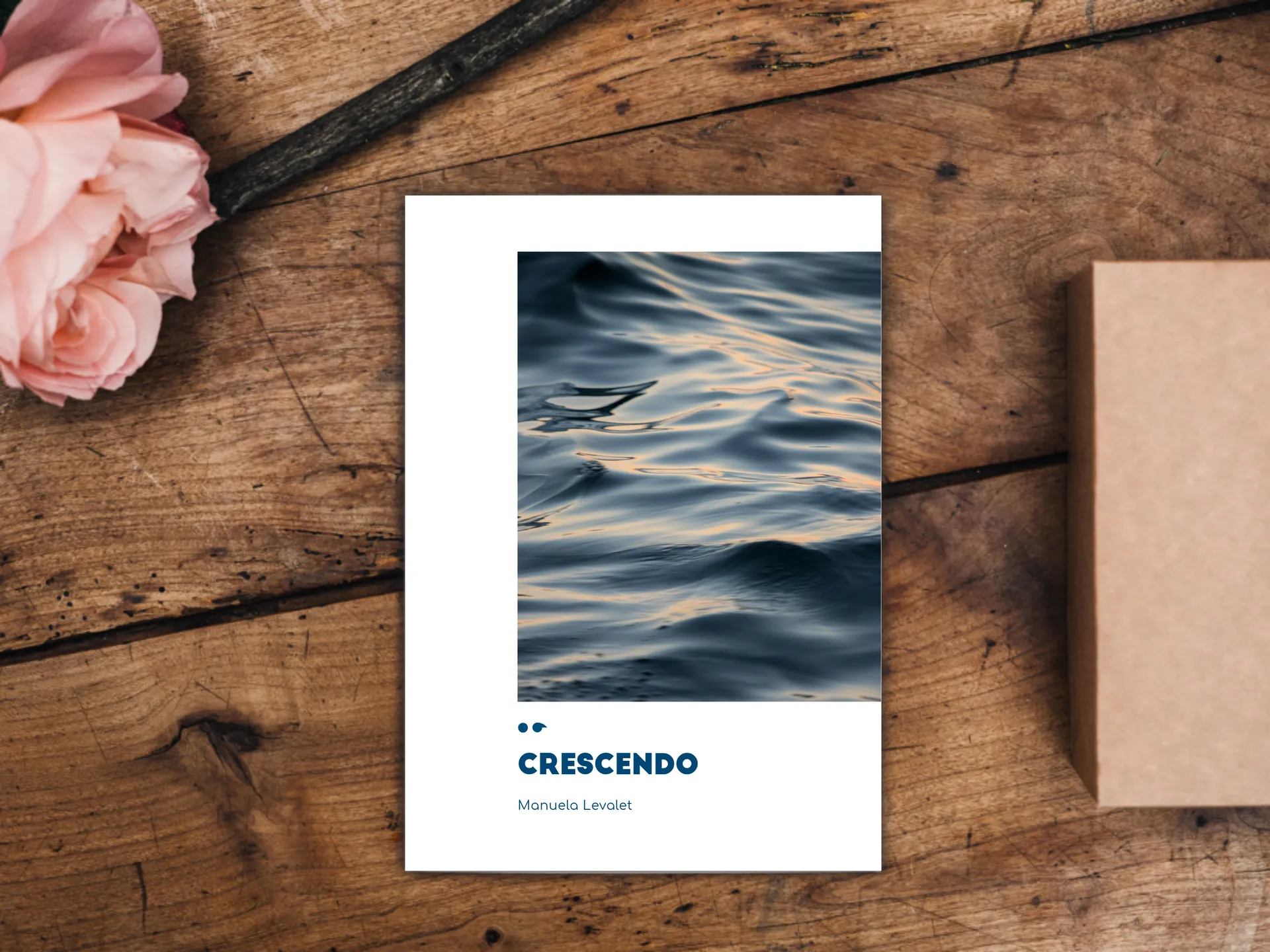 Cover of the book