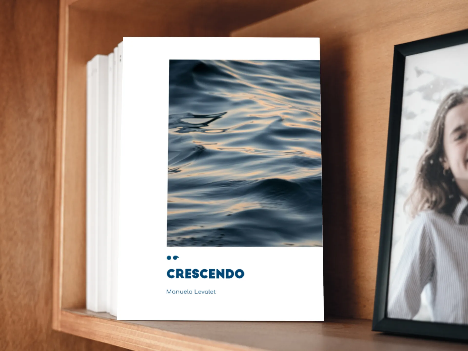 Cover of the book