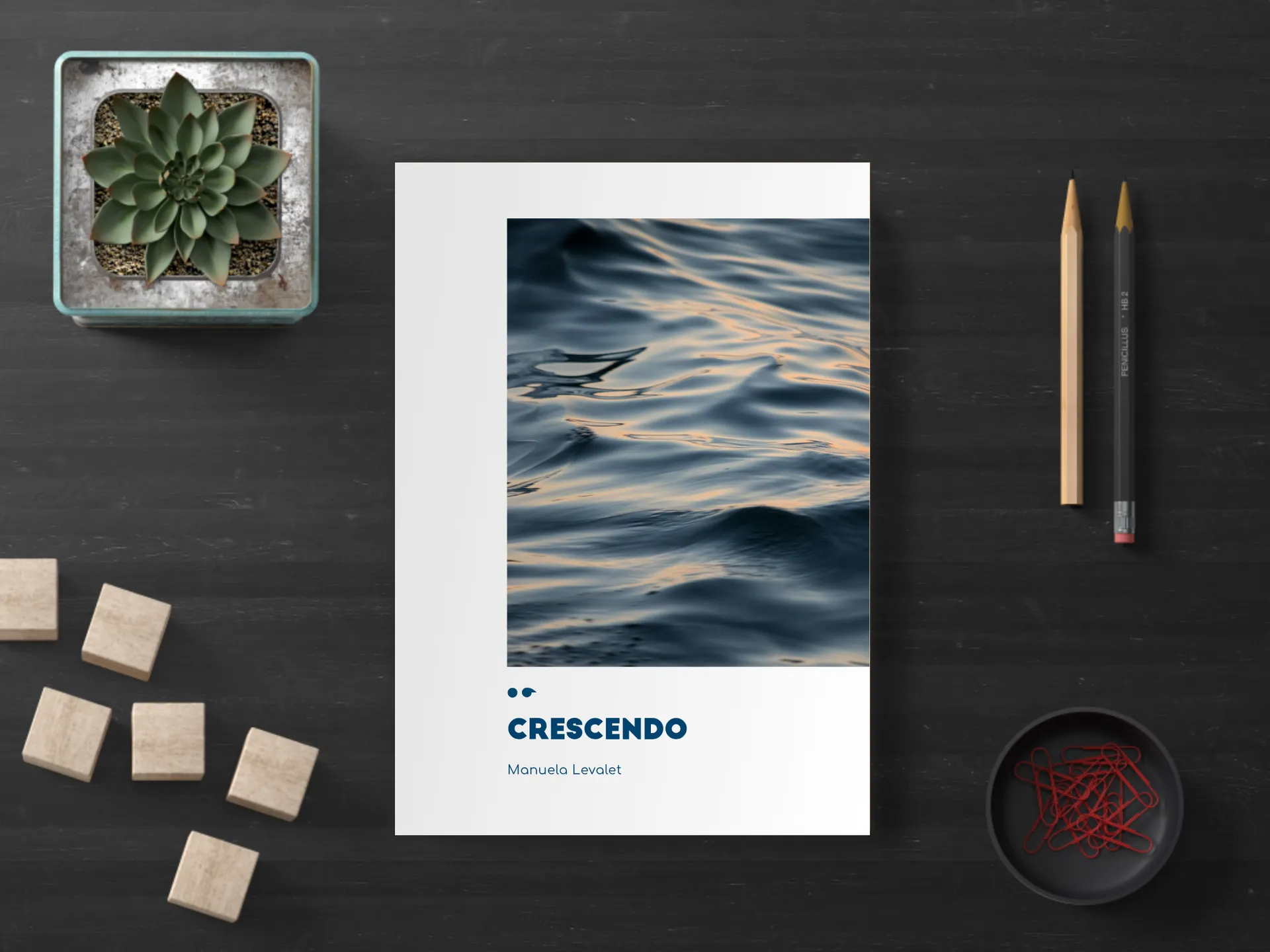 Cover of the book