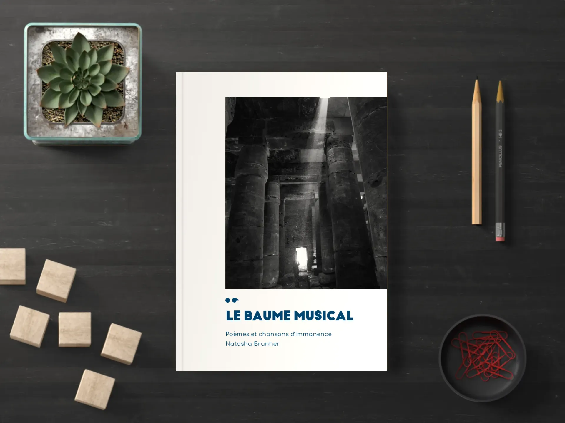 Cover of the book