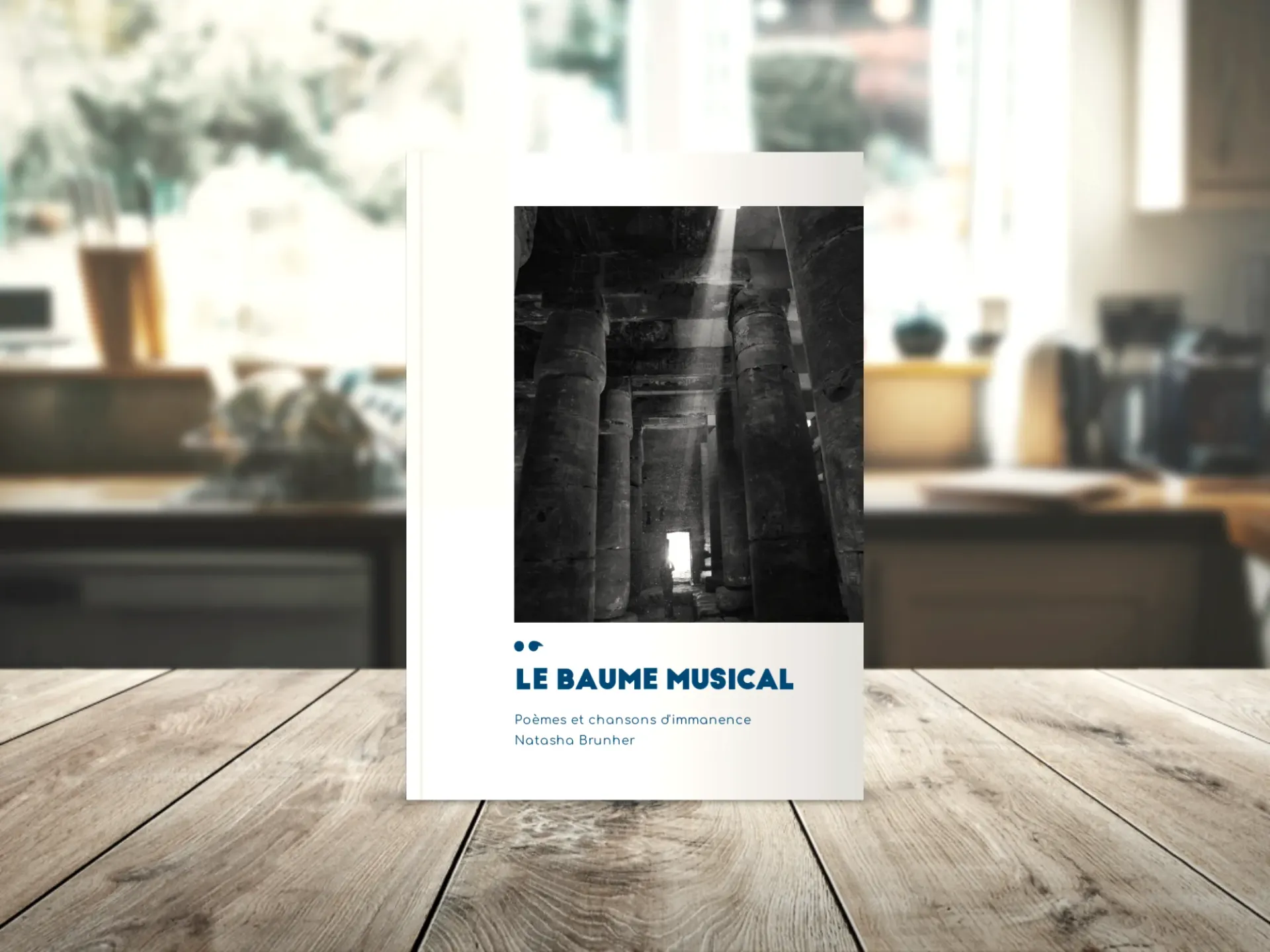Cover of the book