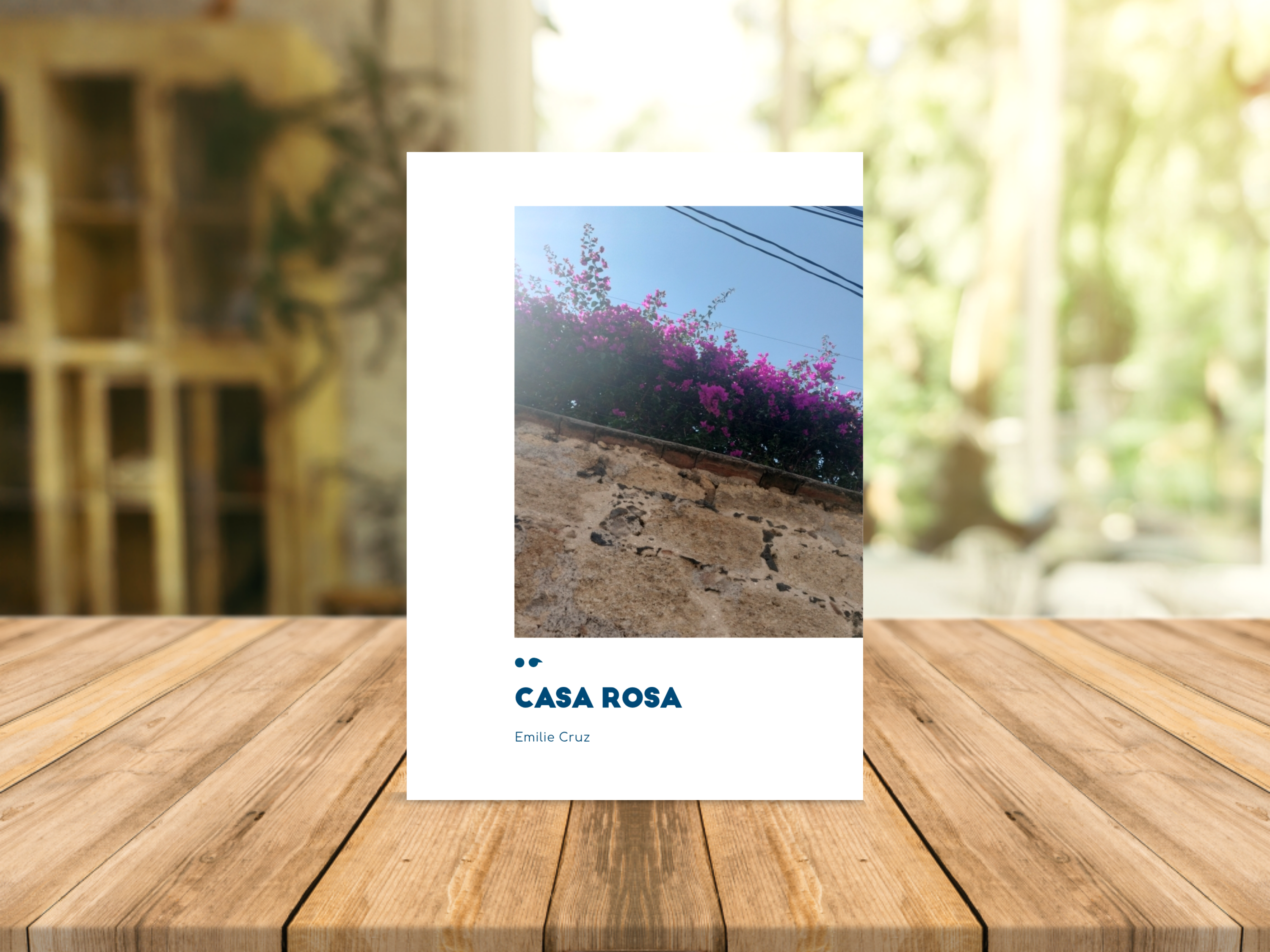Cover of the book