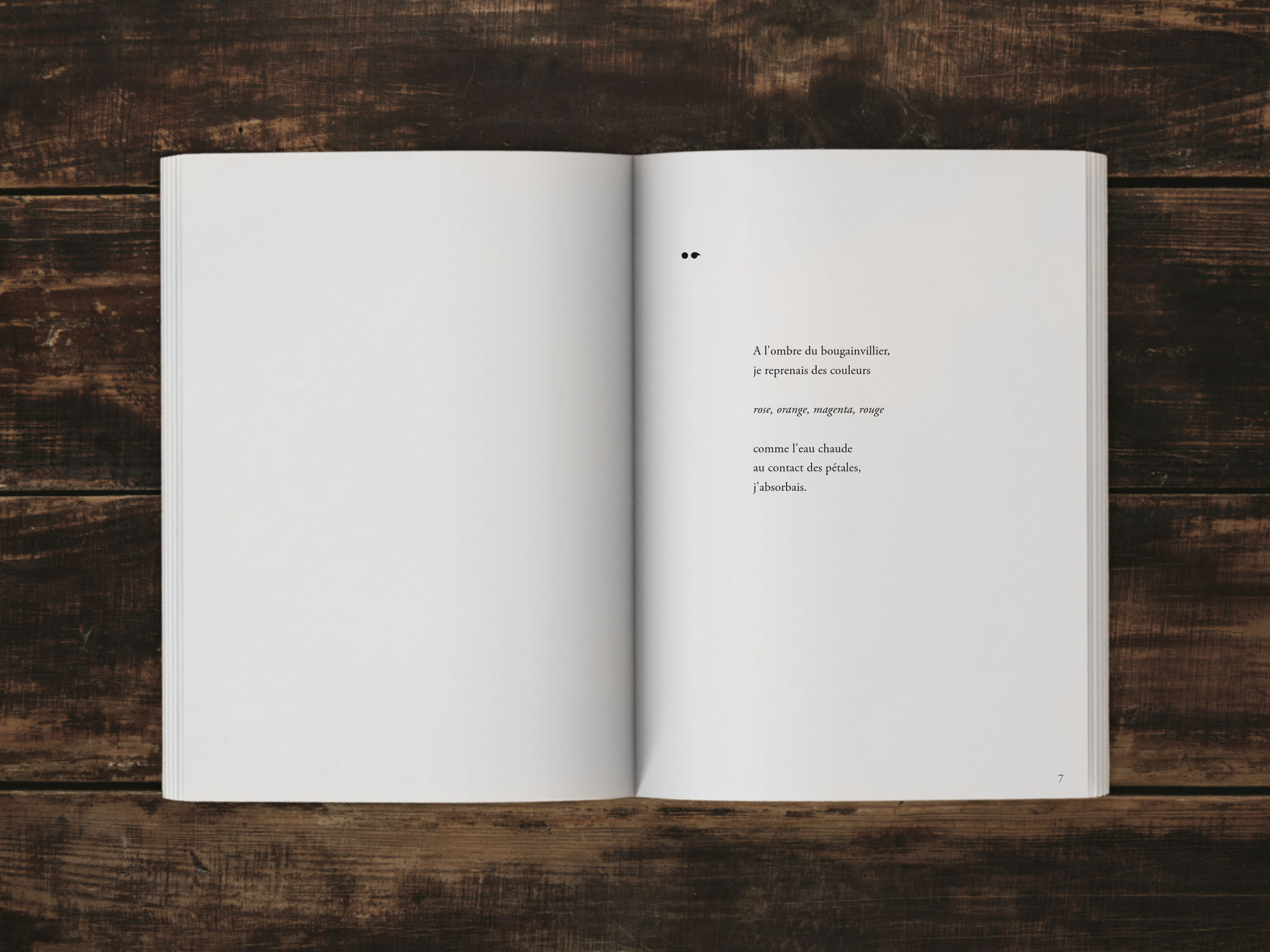 Cover of the book