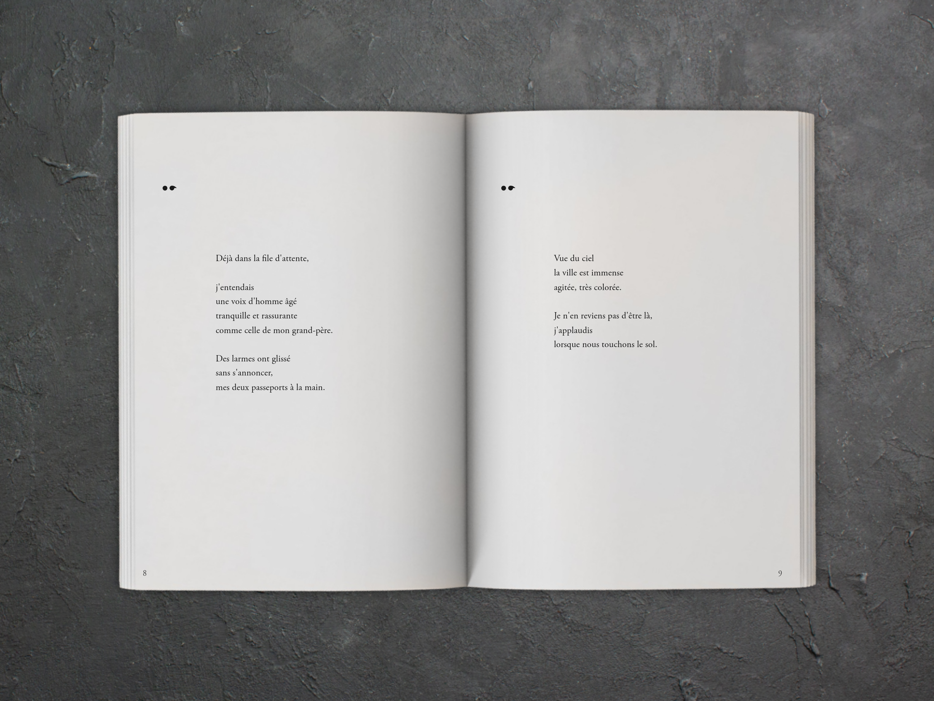 Cover of the book