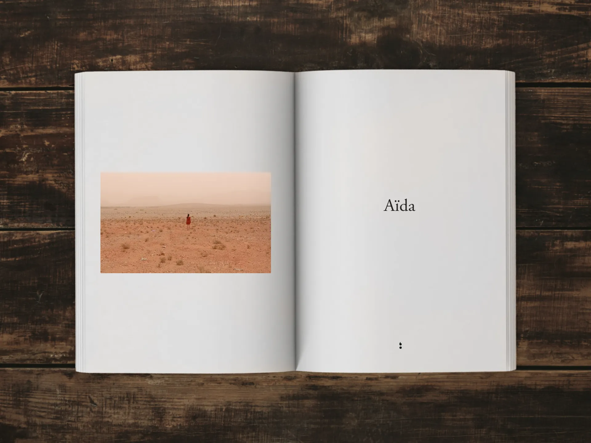 Cover of the book
