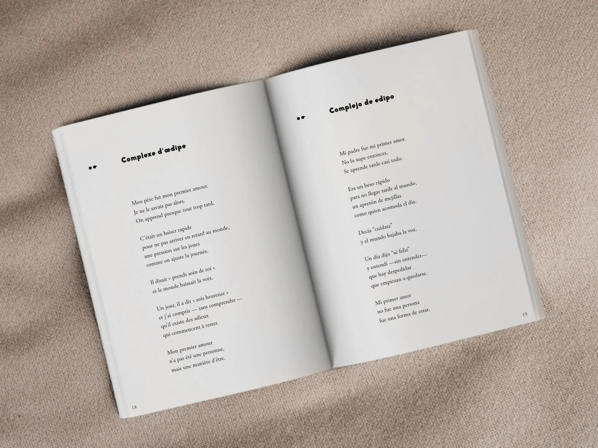 Cover of the book
