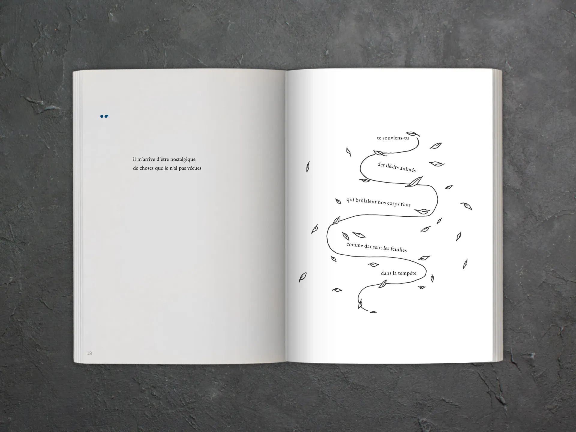 Cover of the book