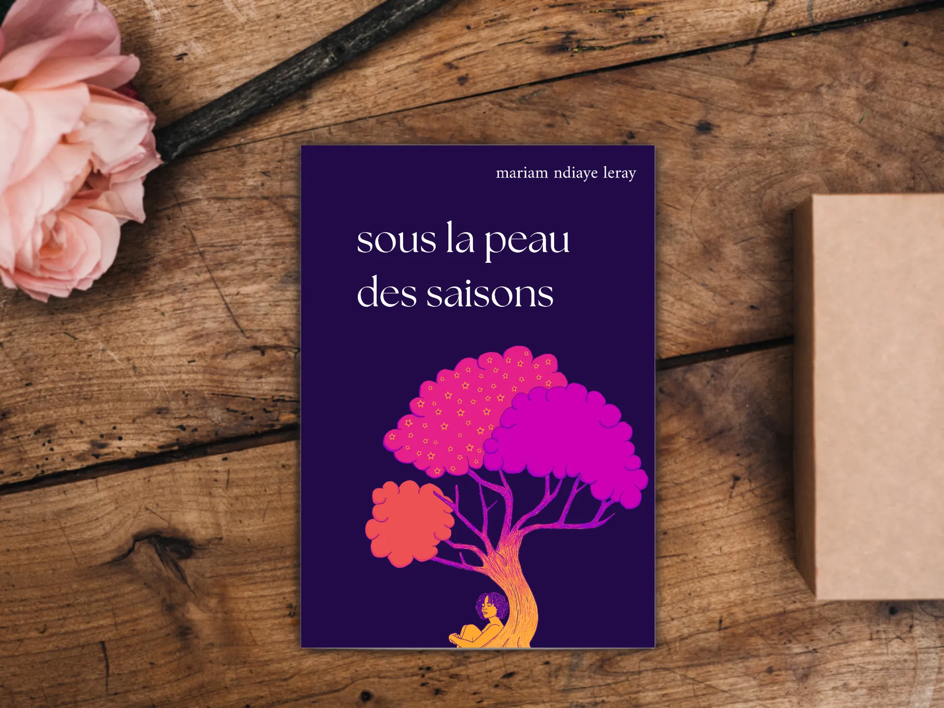 Cover of the book