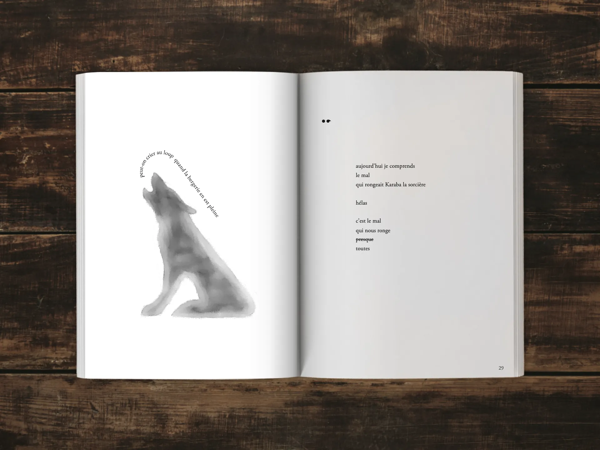 Cover of the book