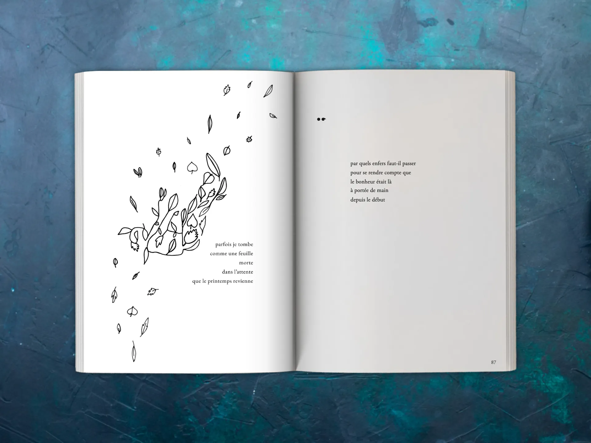 Cover of the book