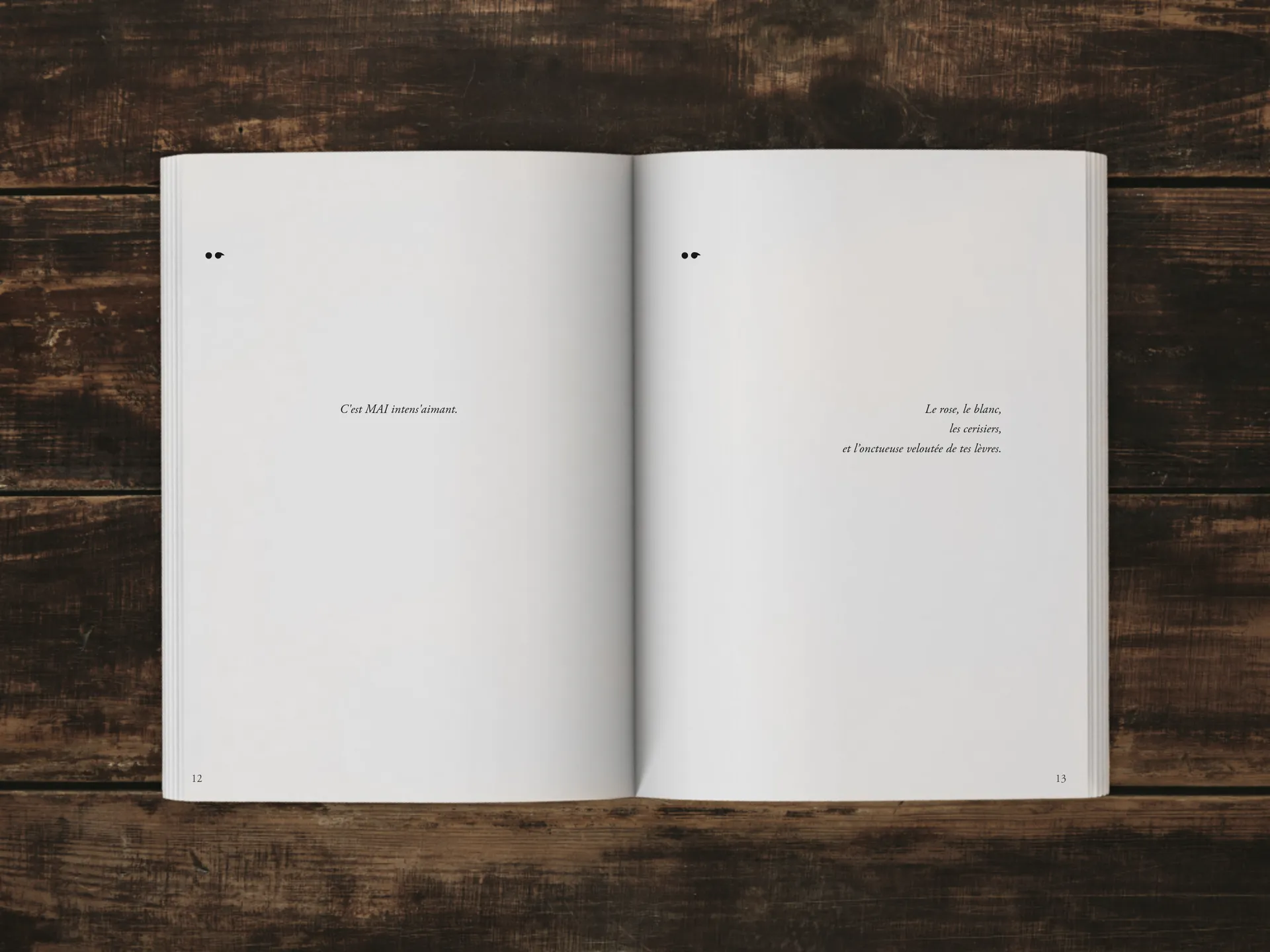 Cover of the book