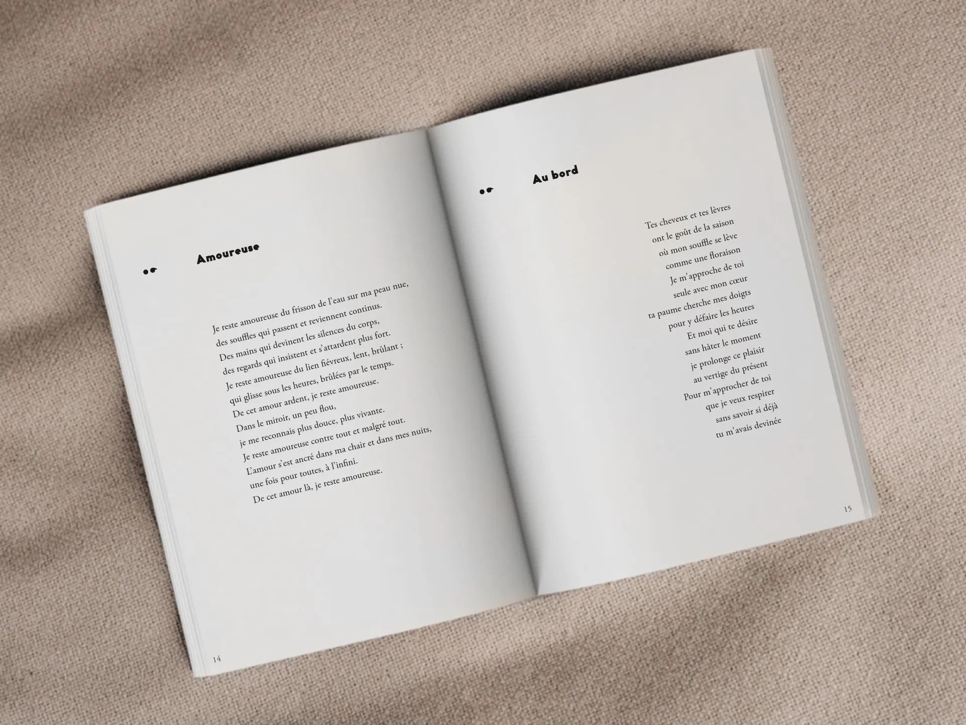 Cover of the book