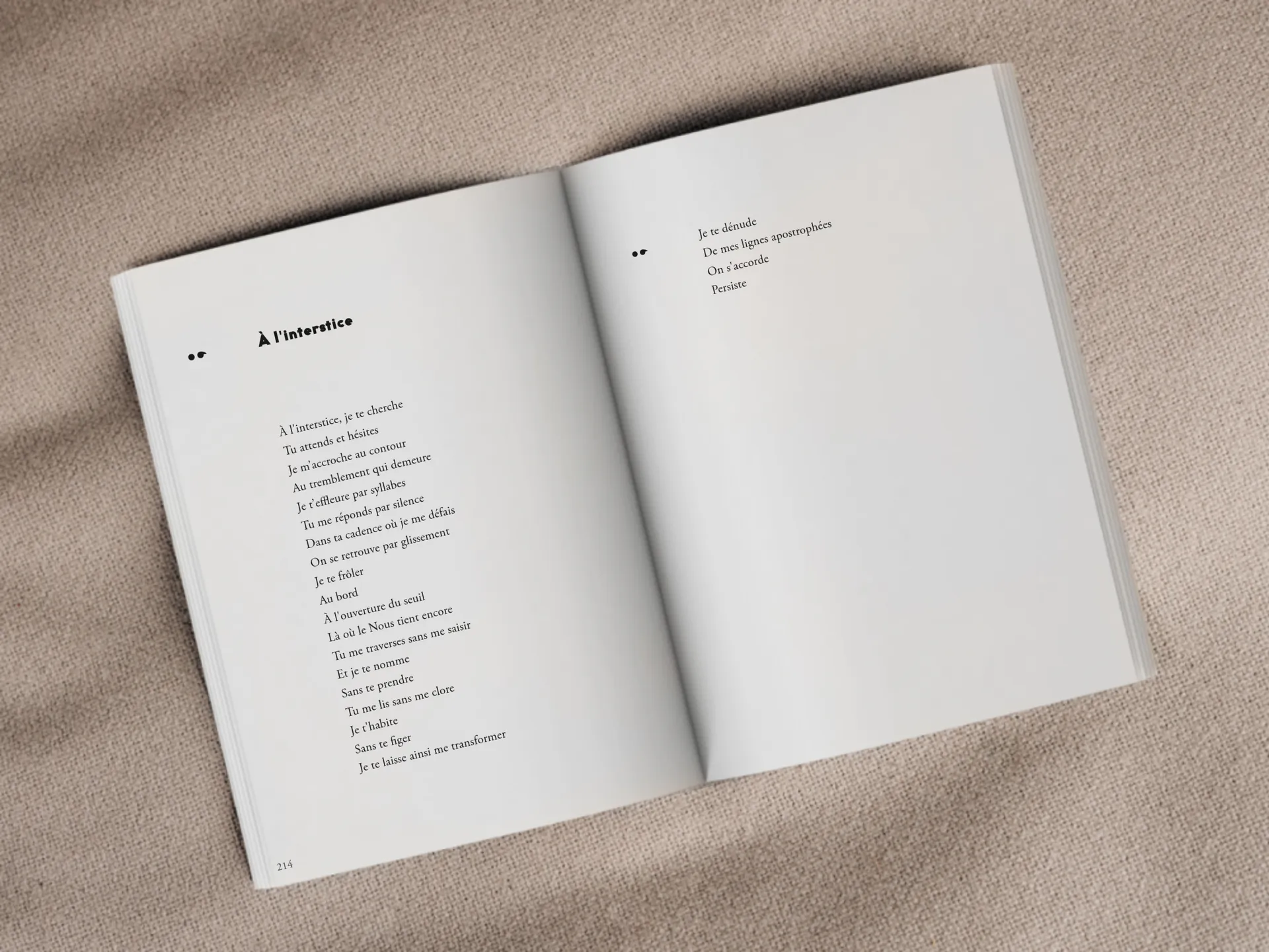 Cover of the book