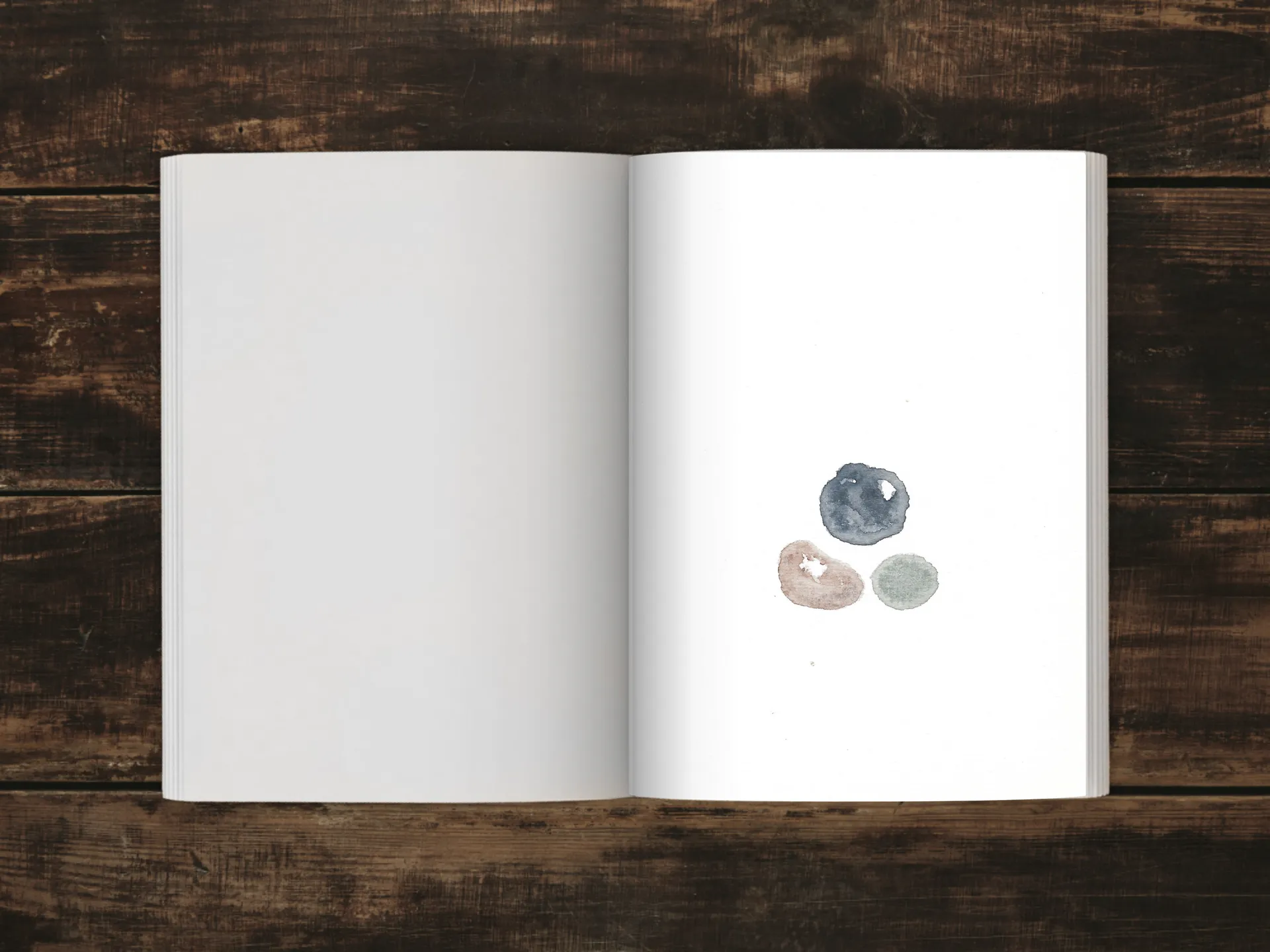 Cover of the book