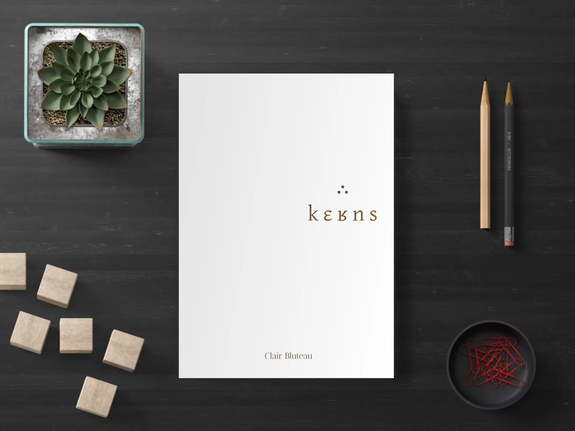 Cover of the book