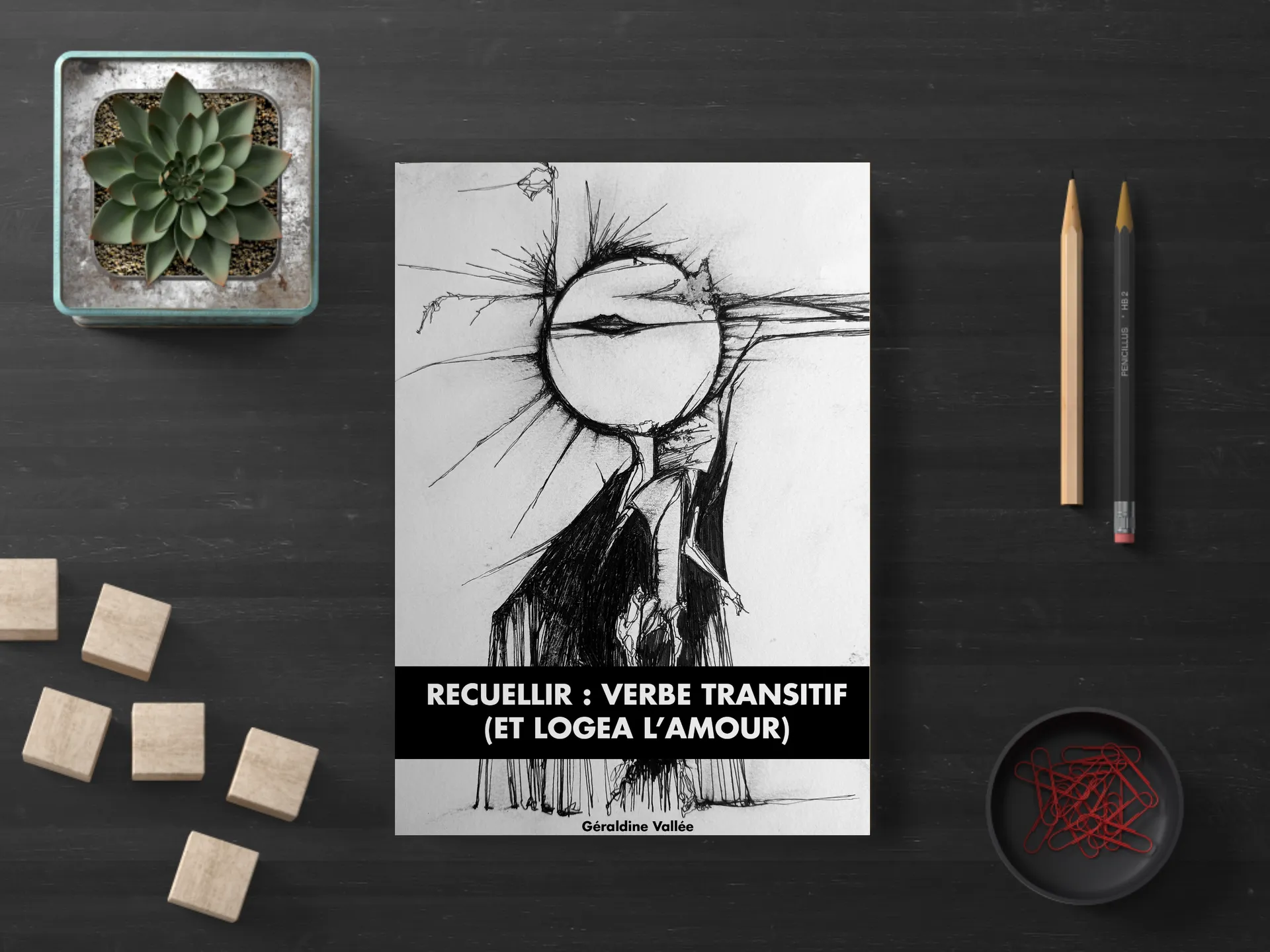 Cover of the book