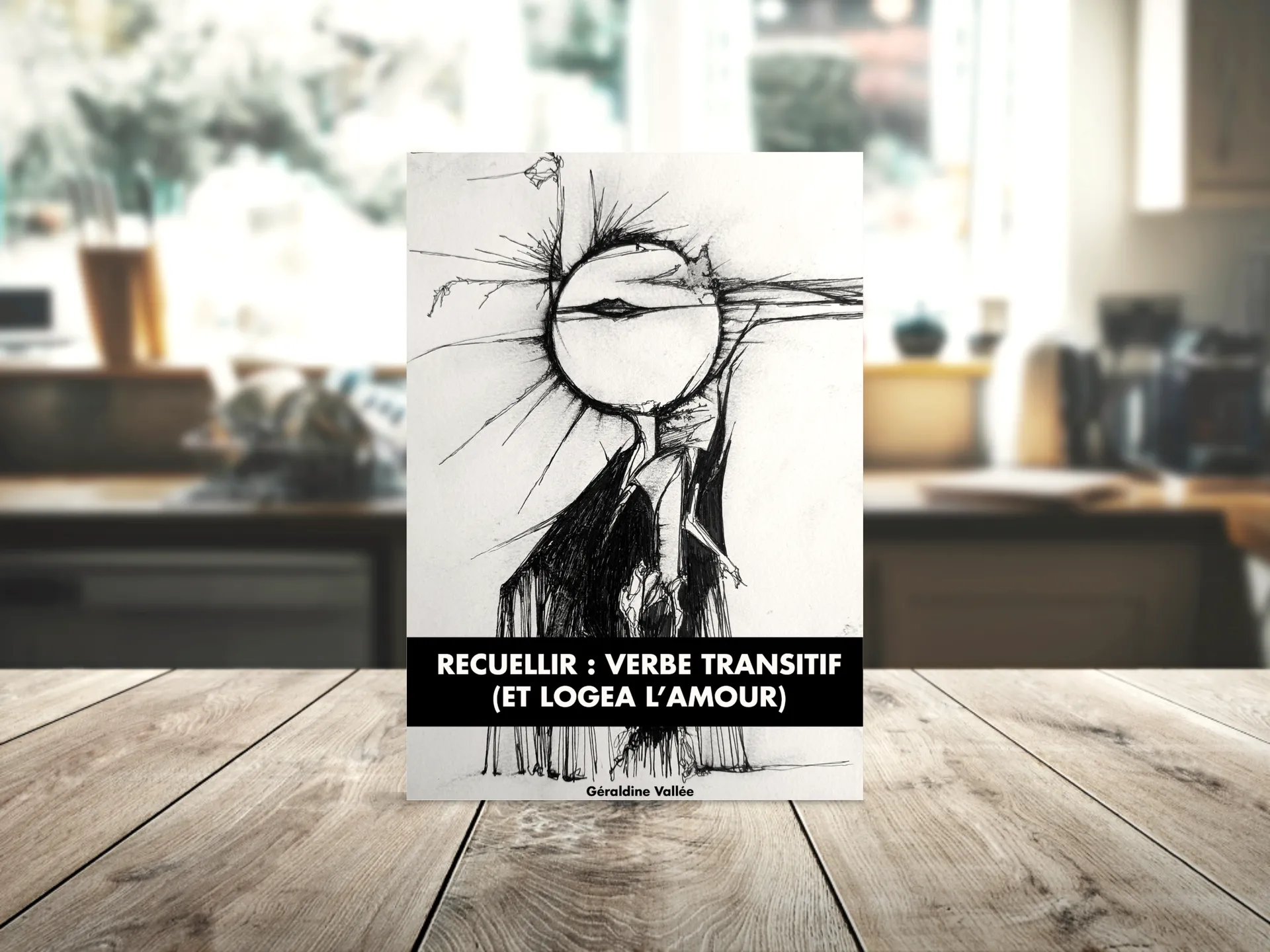 Cover of the book