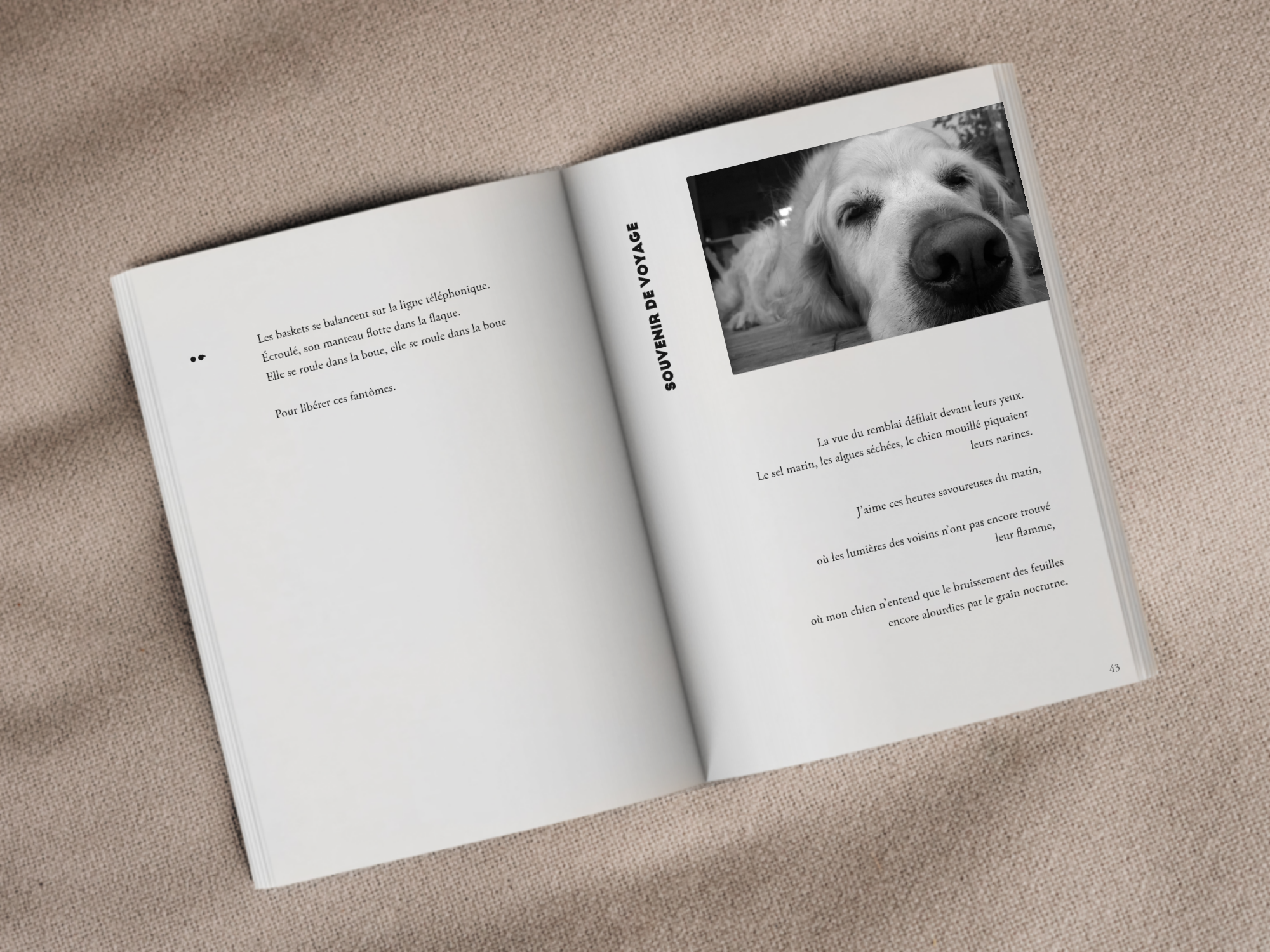 Cover of the book