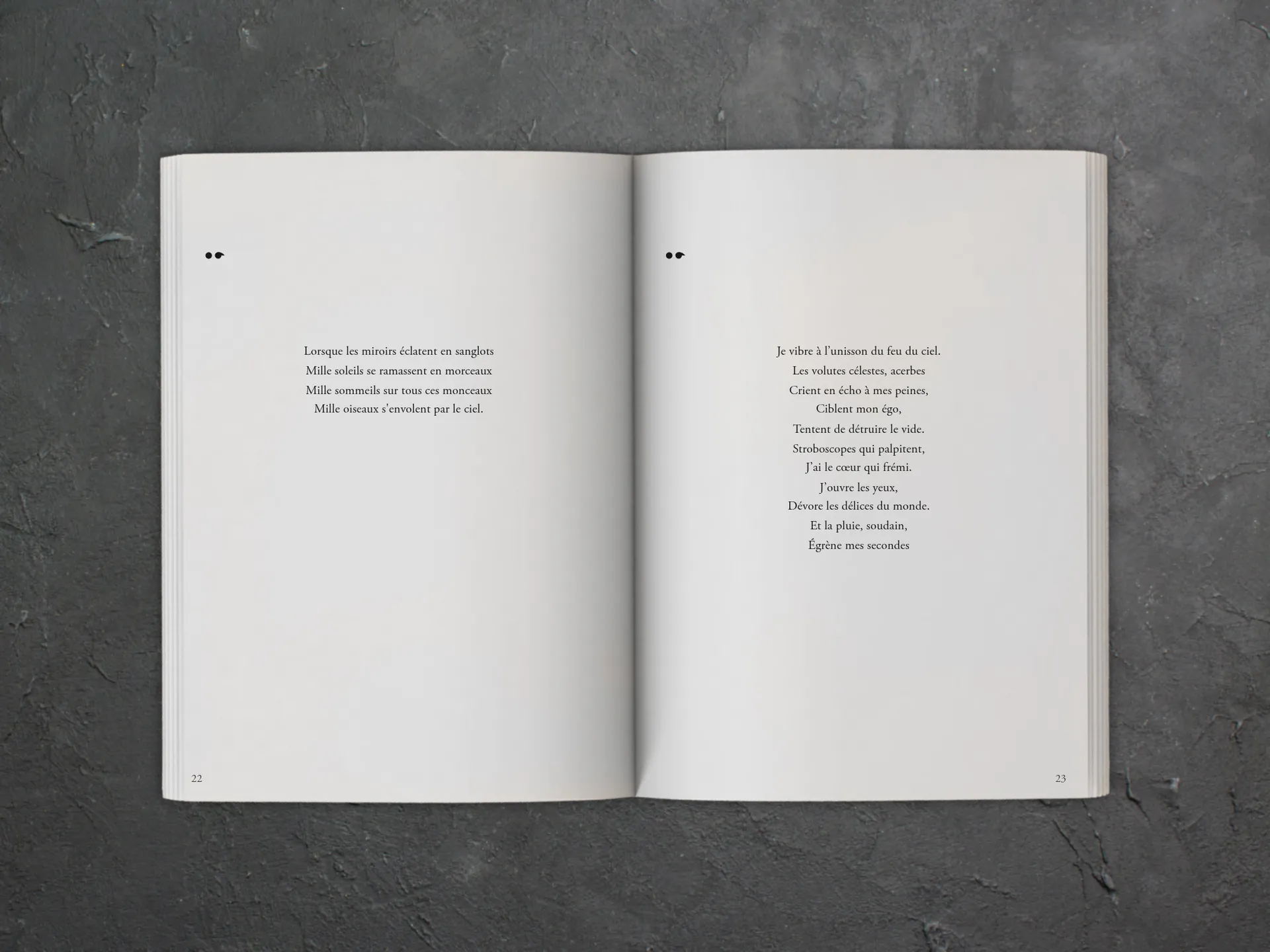 Cover of the book