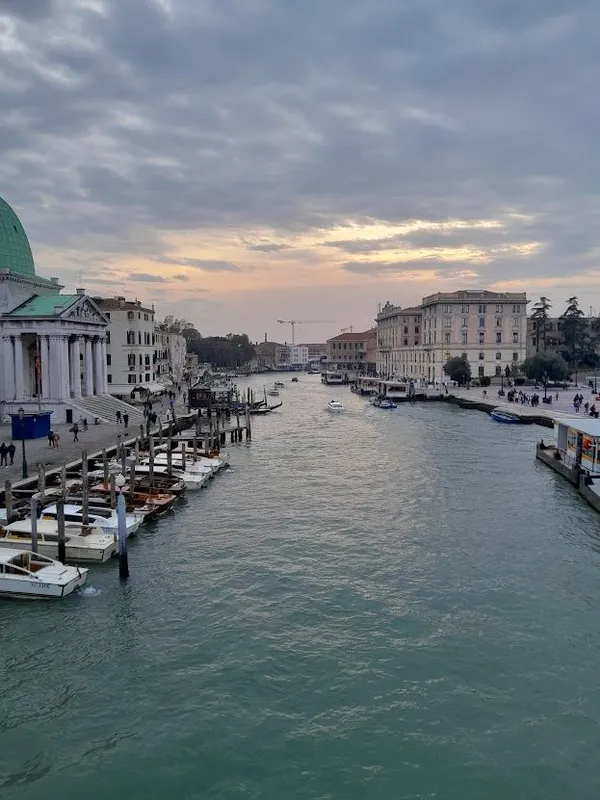 Portrait of the author