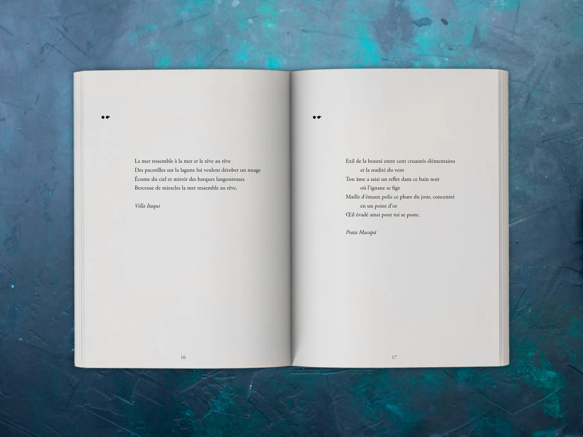 Cover of the book
