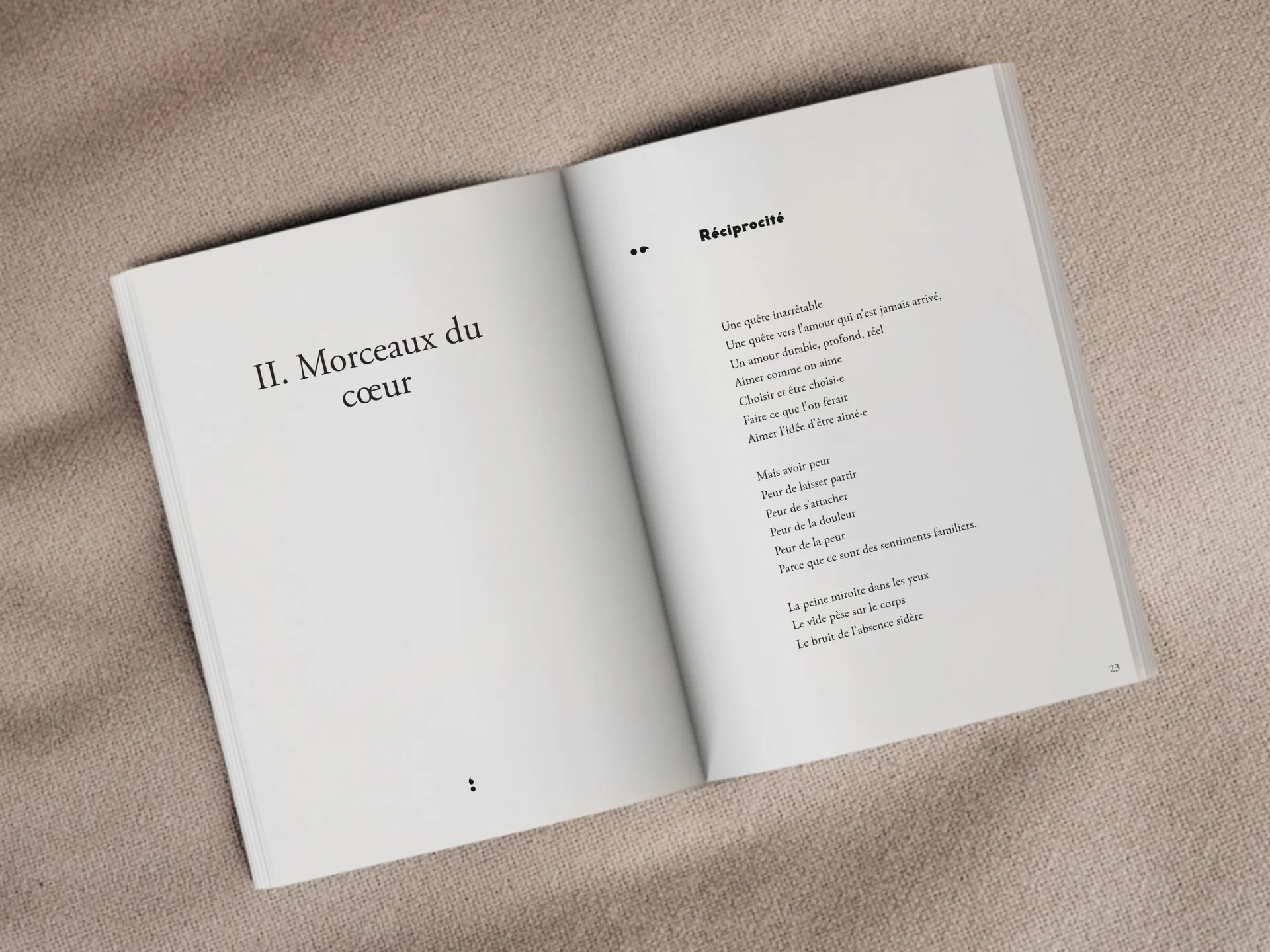 Cover of the book