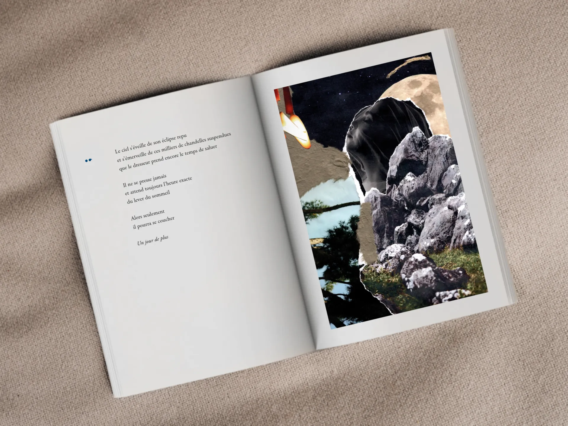 Cover of the book