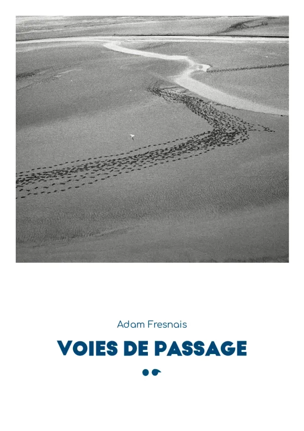 Cover of Voies de passage