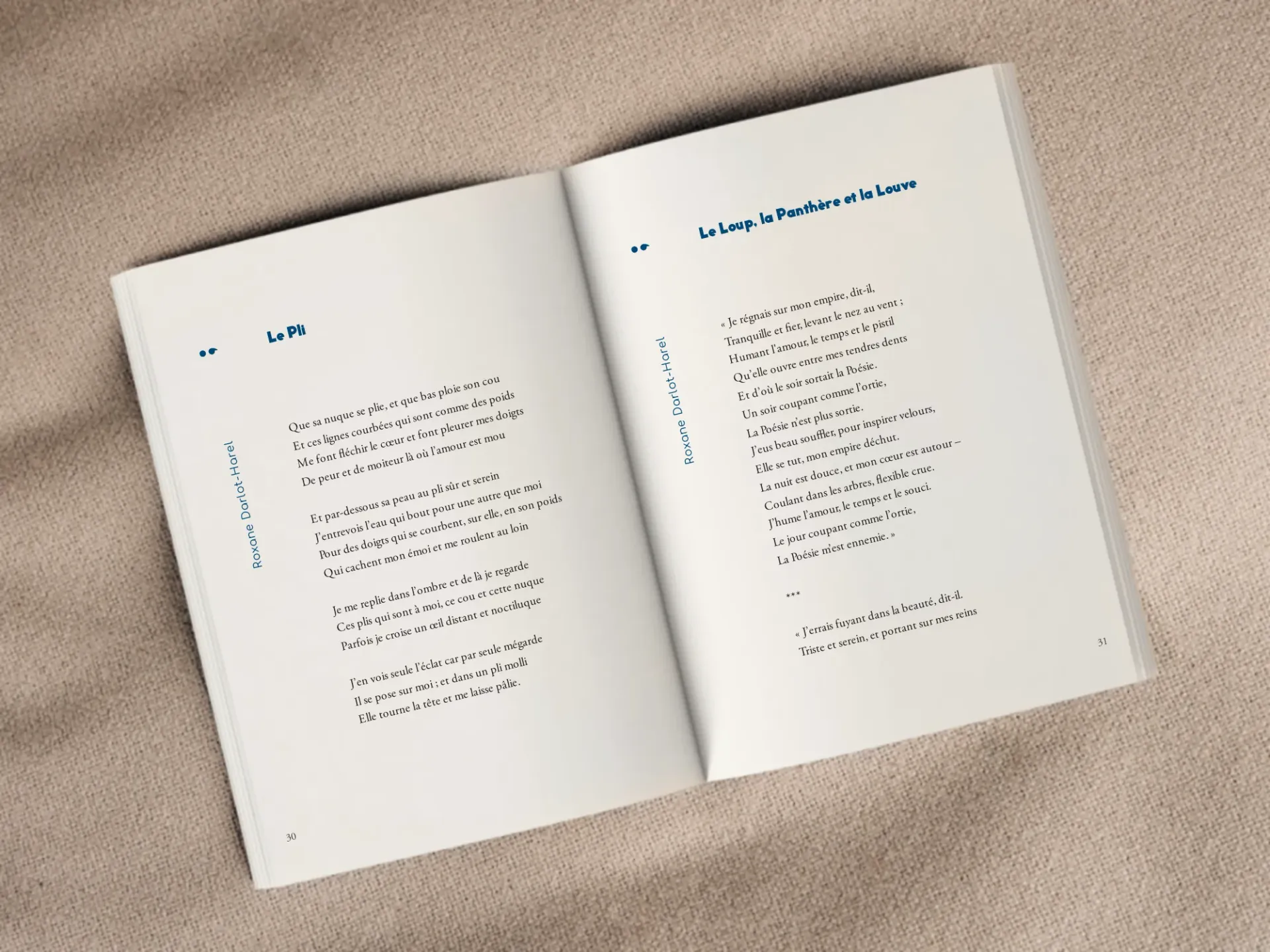 Cover of the book