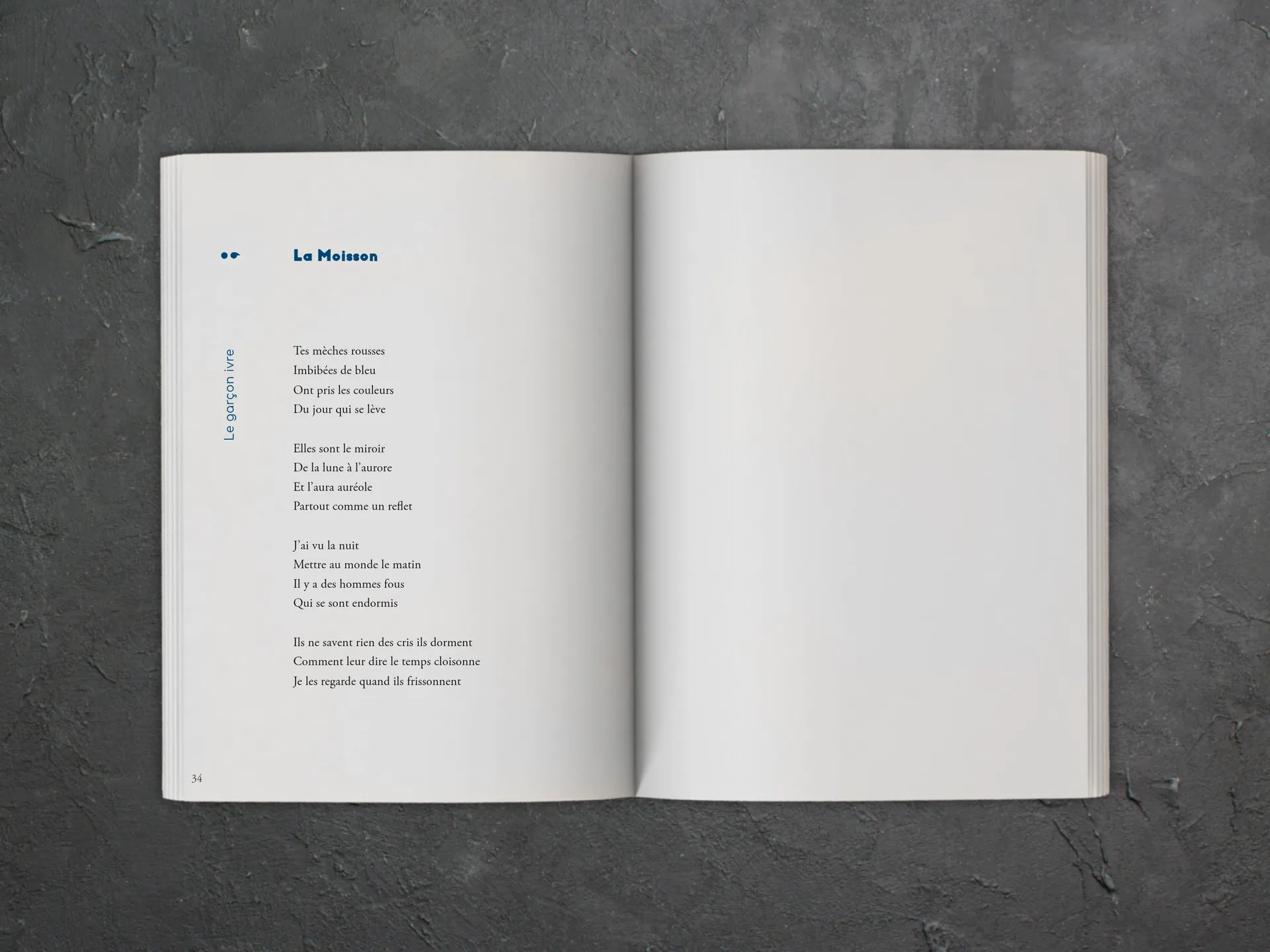 Cover of the book