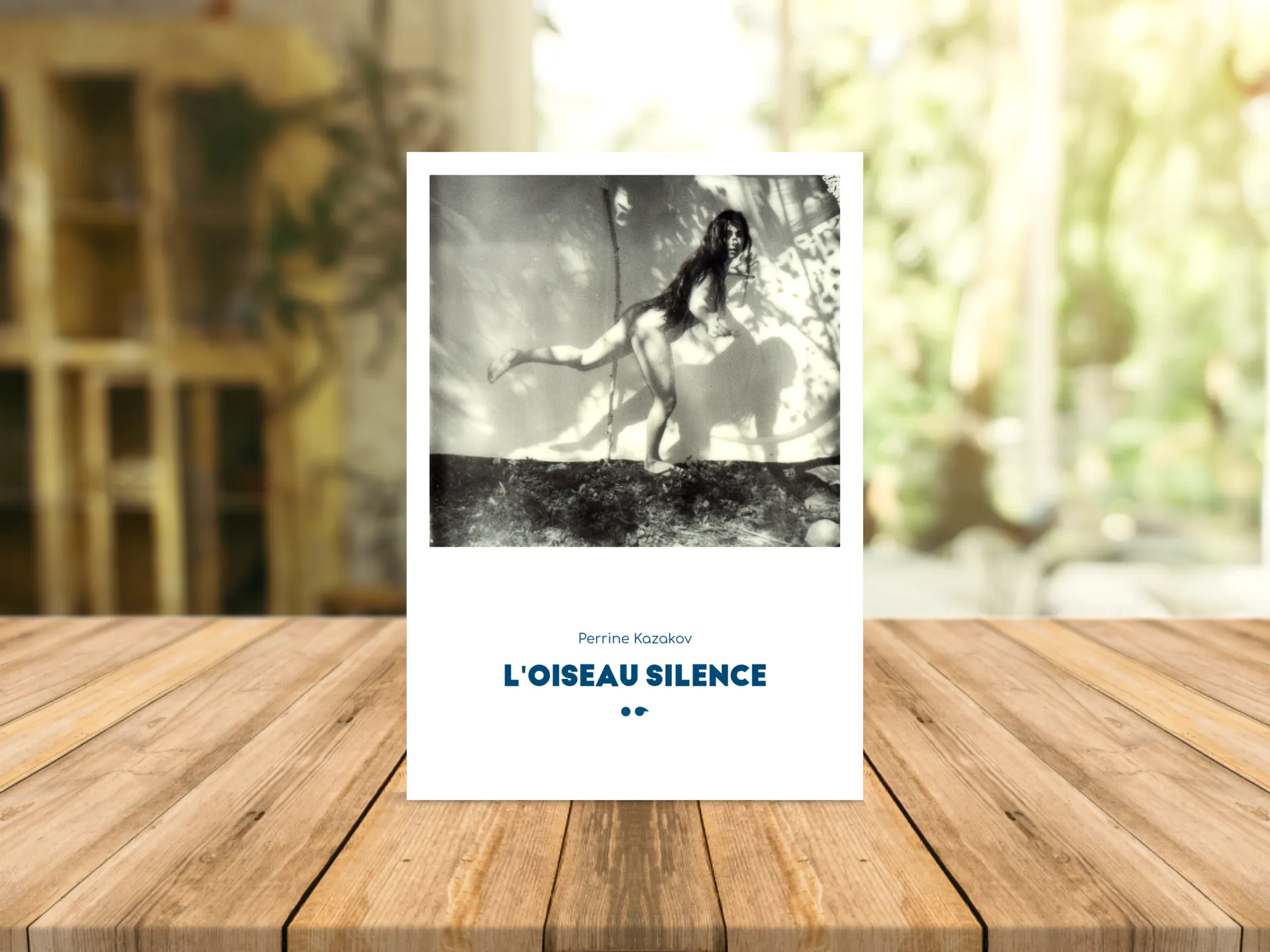 Cover of the book