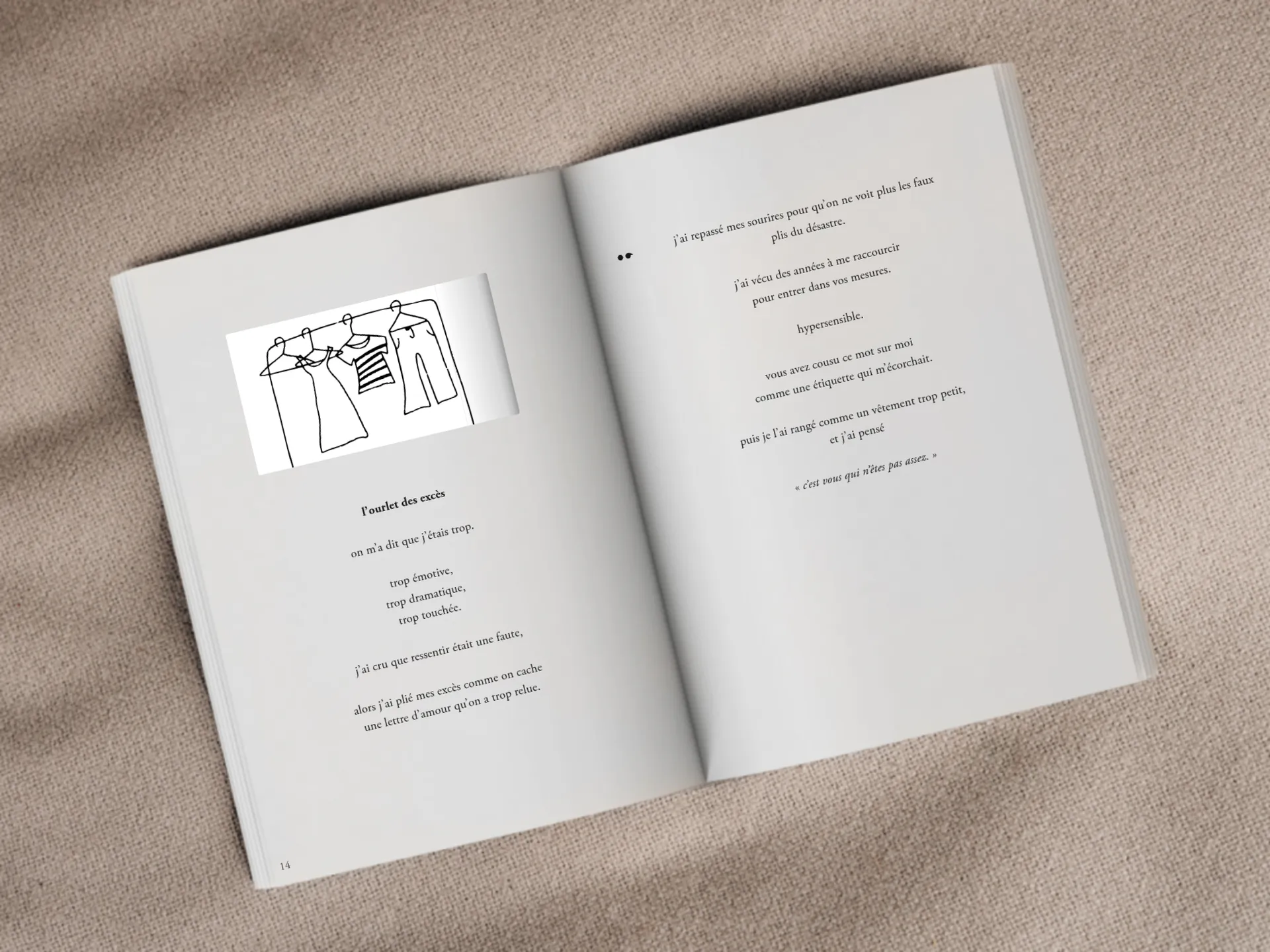 Cover of the book