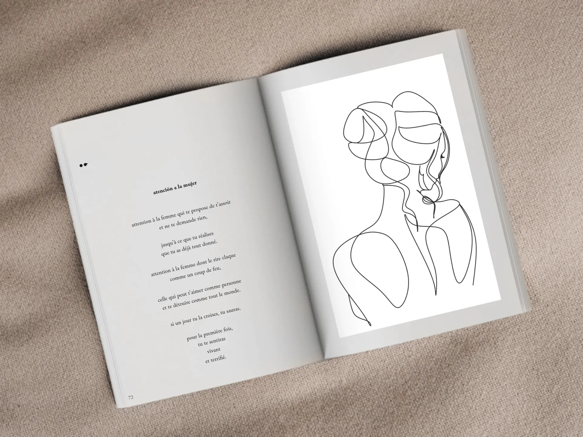 Cover of the book
