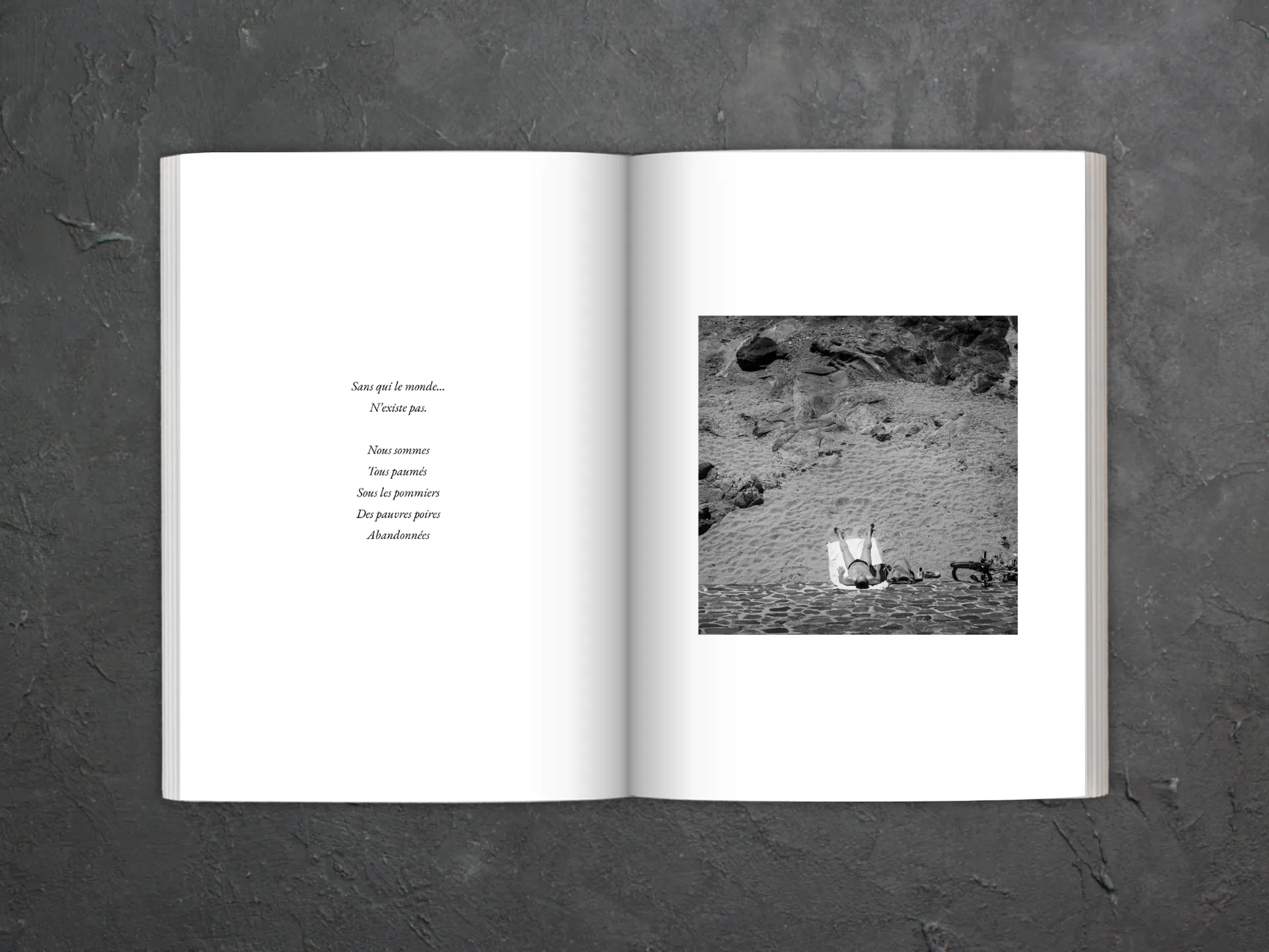 Cover of the book