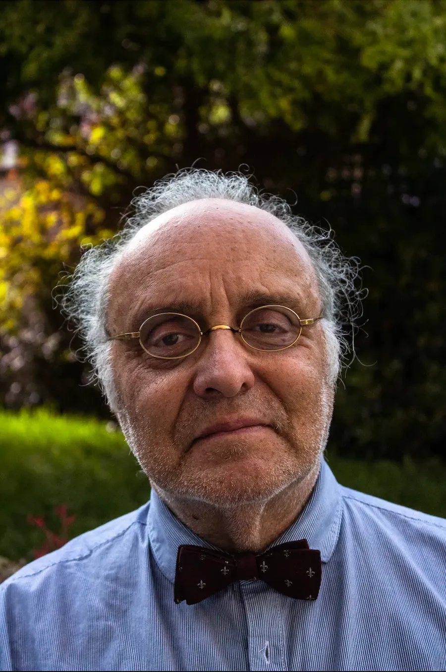 Portrait of the author